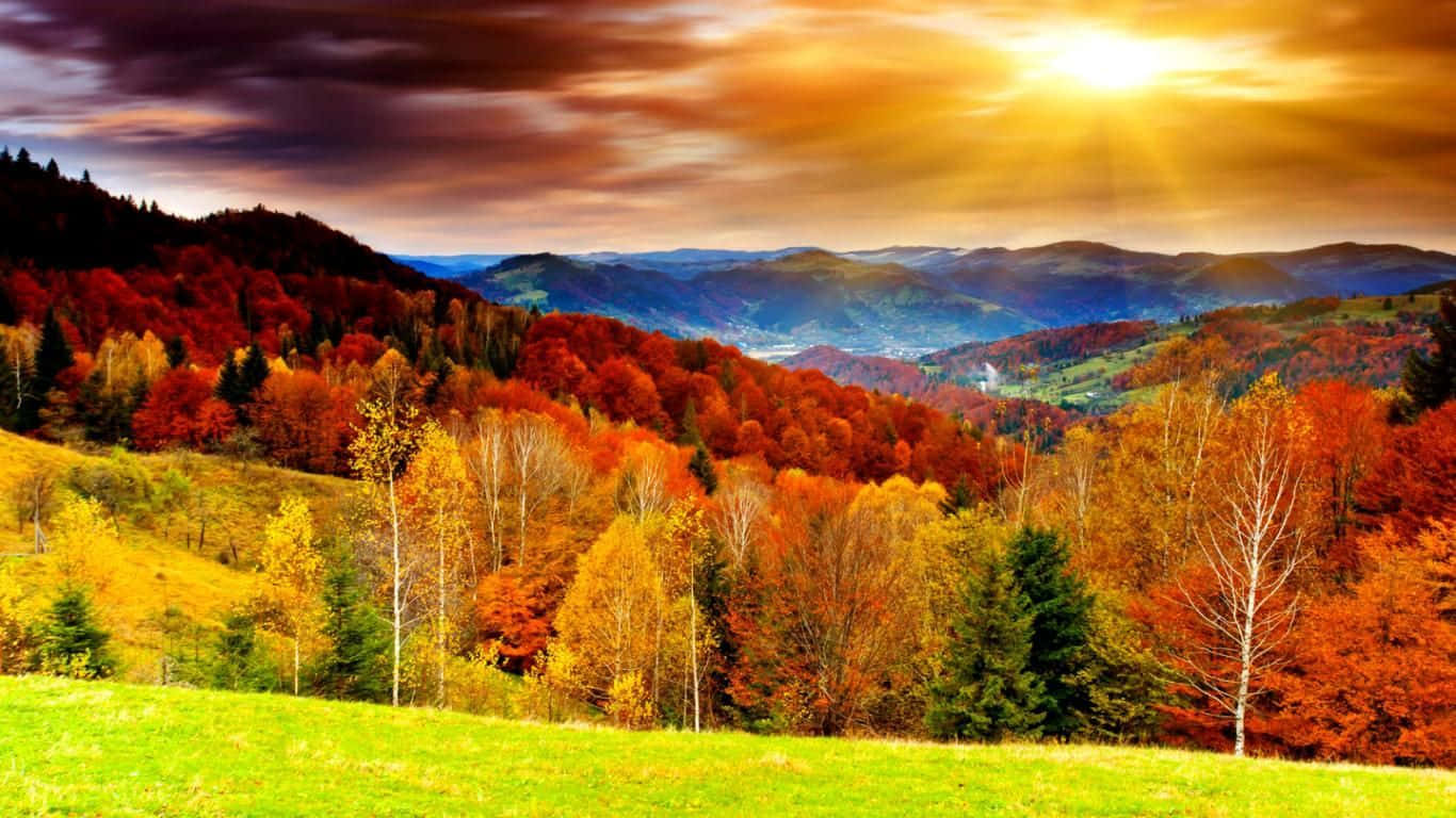 Enjoy The Beauty Of Nature This Autumn Background