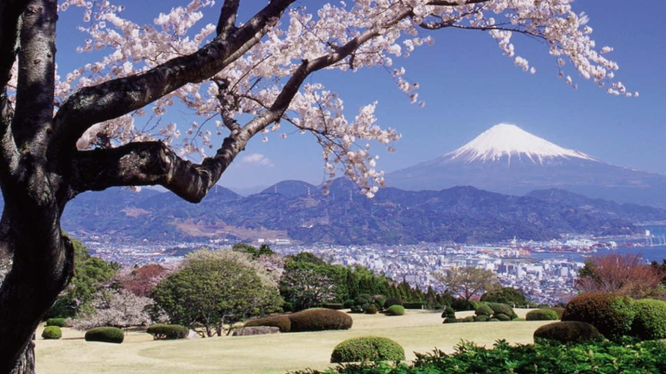 Enjoy The Beauty Of Nature This Spring With A Stunning Dual-screen Laptop Background