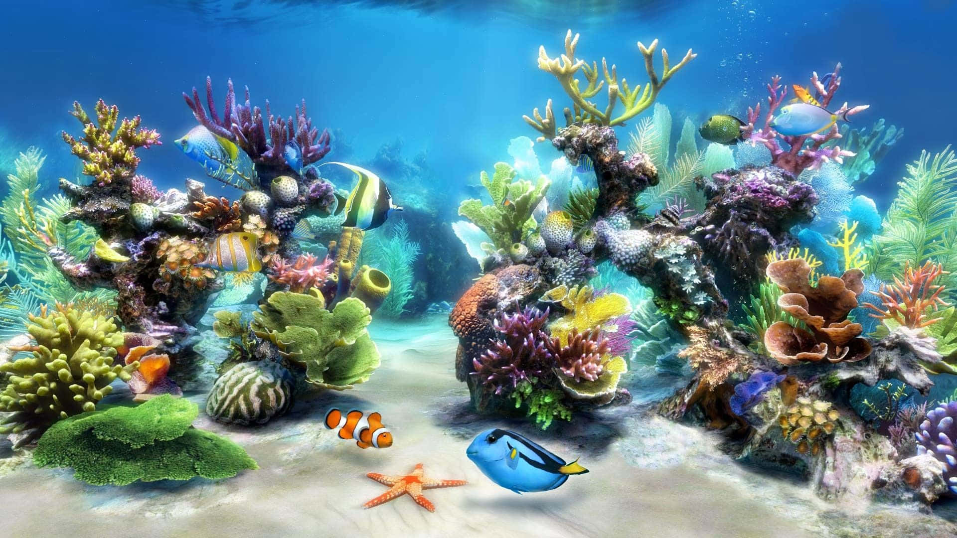 Enjoy The Beauty Of Nature With Live Fish Background