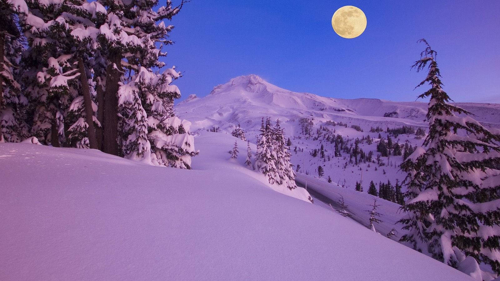 Enjoy The Beauty Of Nature With Snow Desktop Background