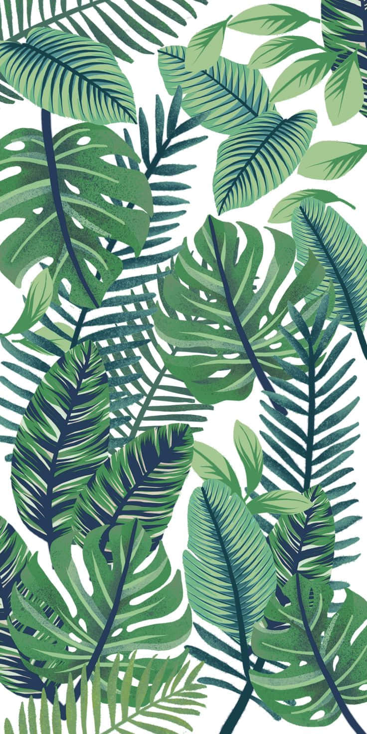 Enjoy The Beauty Of Nature With These Cute Leaves Background