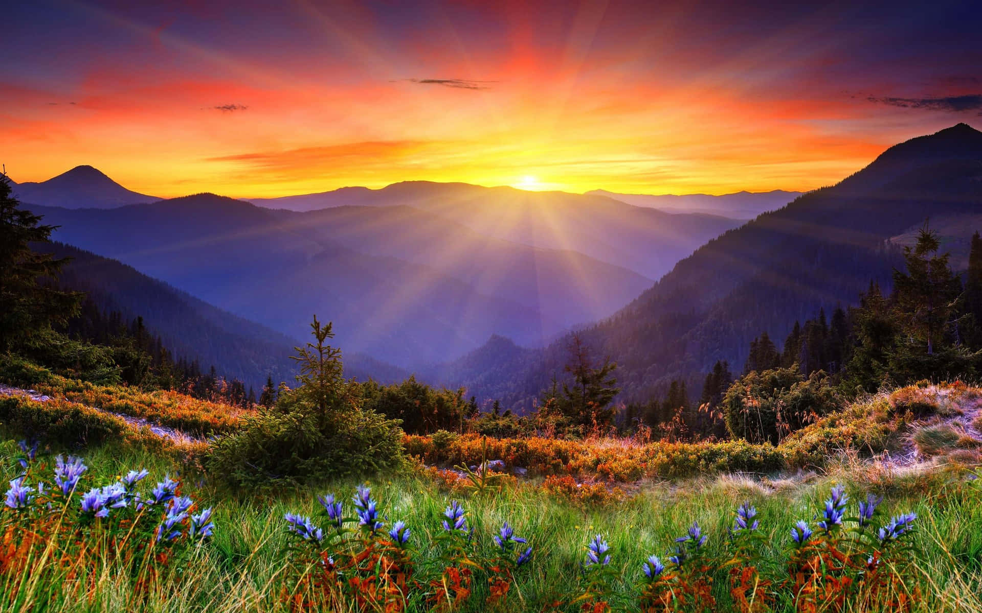 Enjoy The Beauty Of Nature With This Stunning Desktop Background