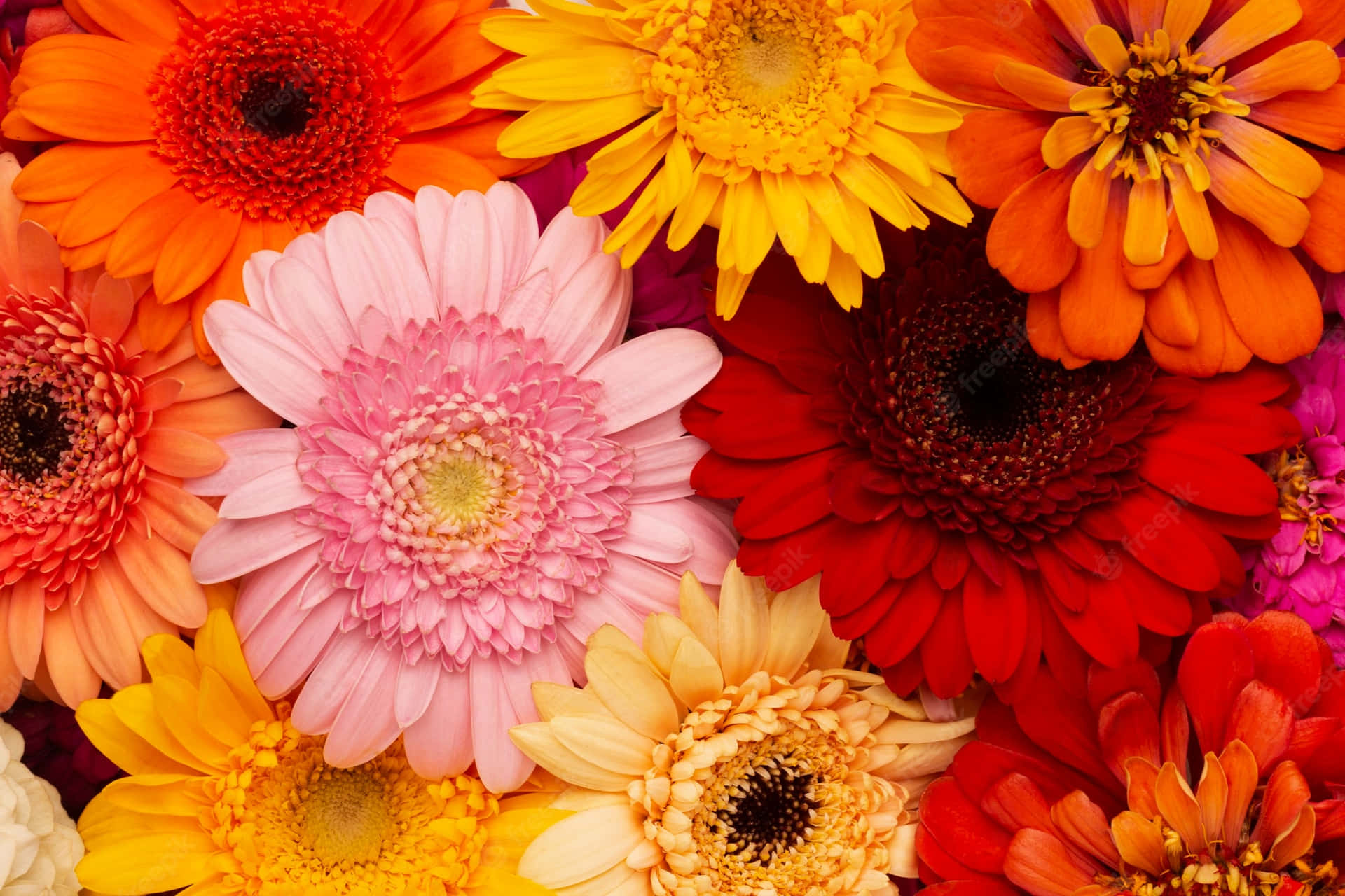Enjoy The Beauty Of Nature With Wildflowers Background
