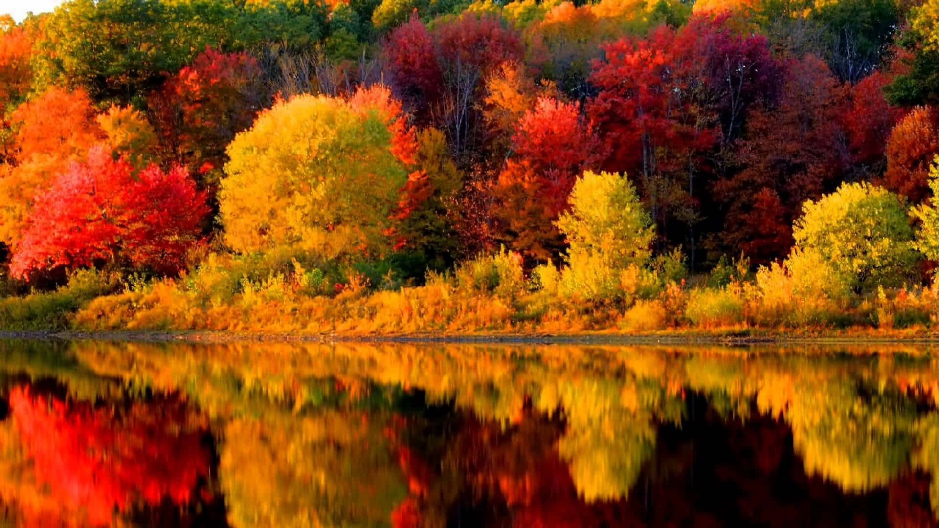 Enjoy The Beauty Of New England During Fall Season