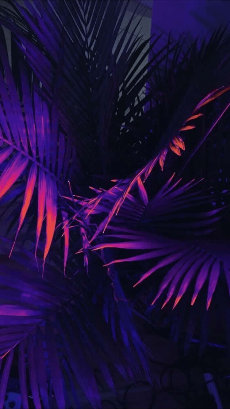 Enjoy The Beauty Of Purple And Blue Blending Together. Background