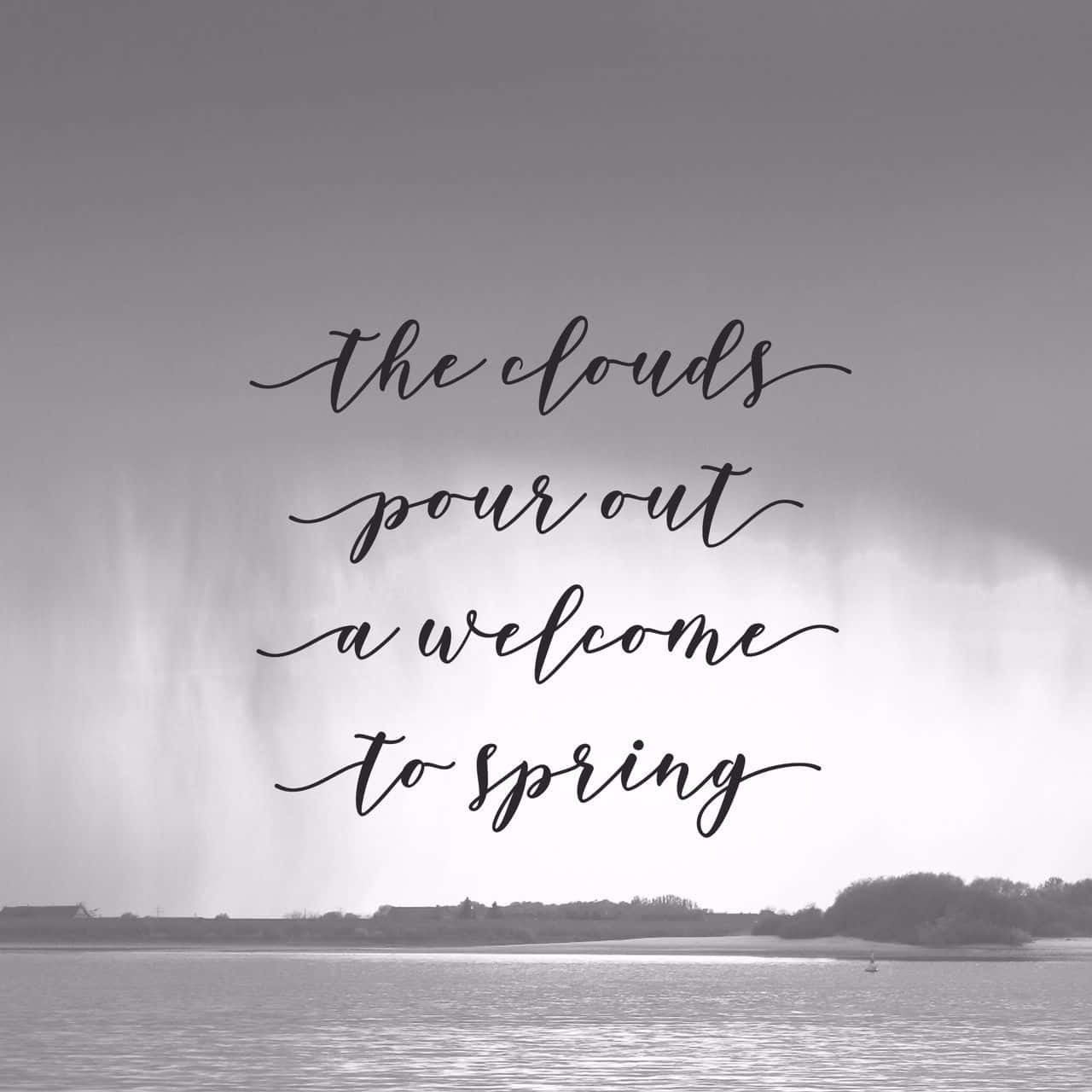 Enjoy The Beauty Of Rainy Days