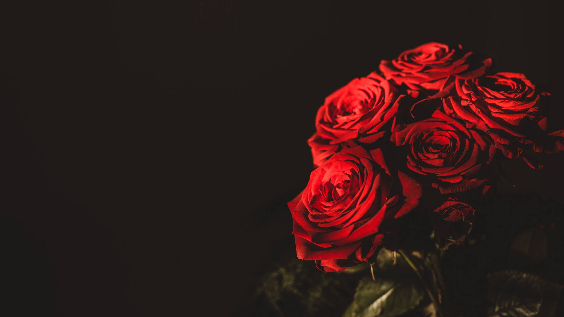 Enjoy The Beauty Of Roses On Your Desktop Background