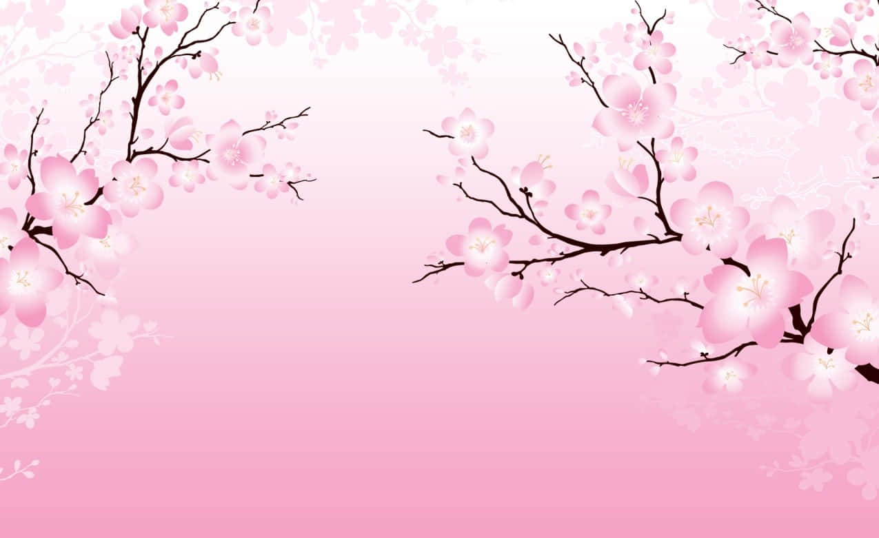 Enjoy The Beauty Of Sakura Blossom In A Peaceful Spring Day Background