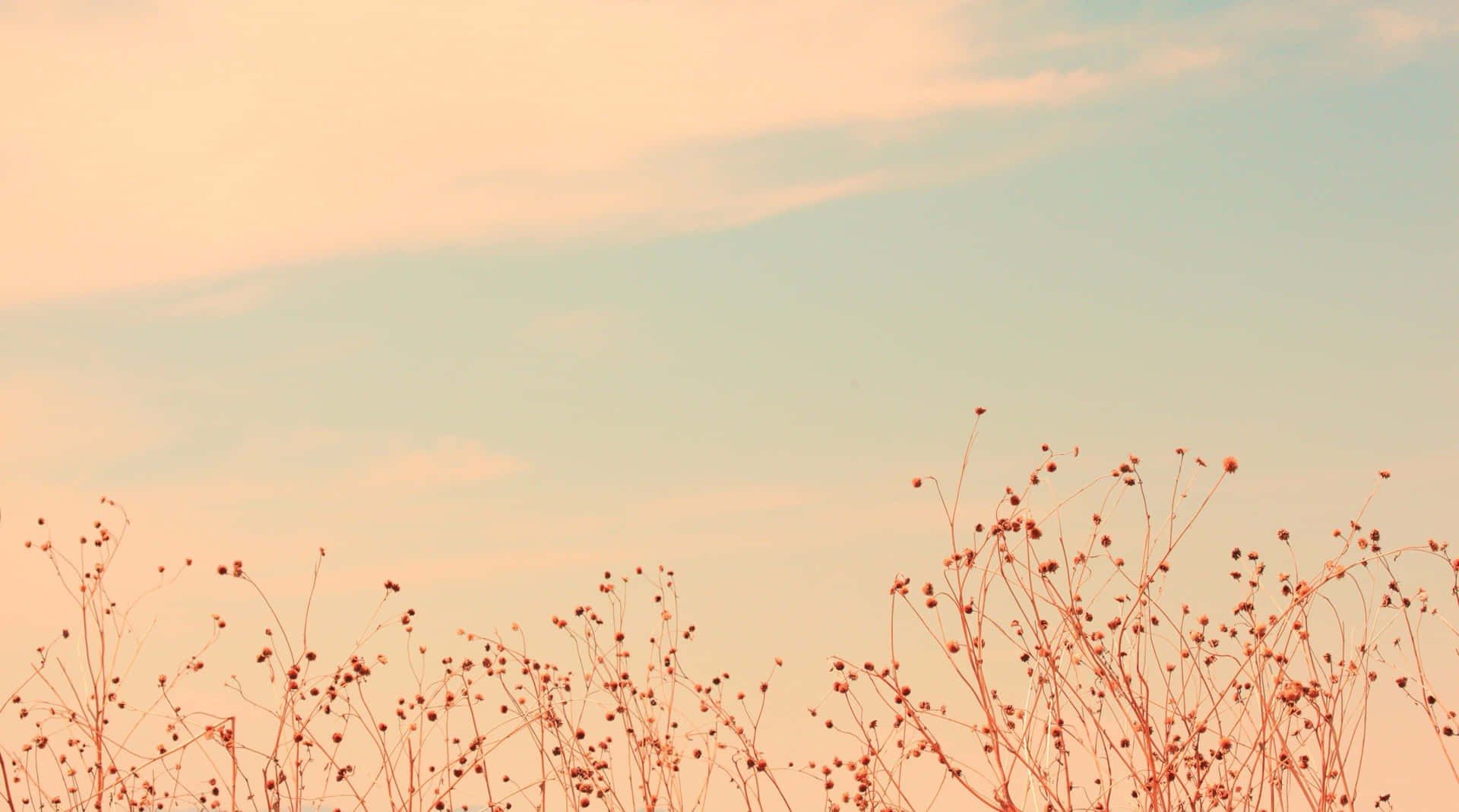 Enjoy The Beauty Of Seamless Onboarding With Soft Aesthetic Computer Background