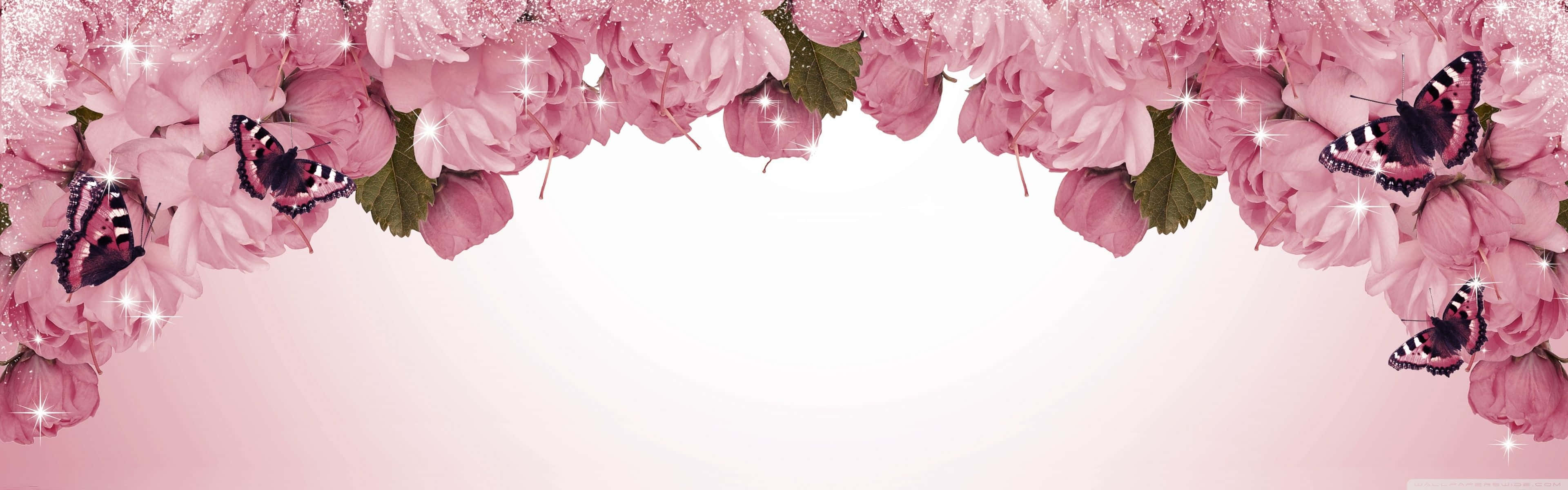 Enjoy The Beauty Of Spring With A Dual Monitor