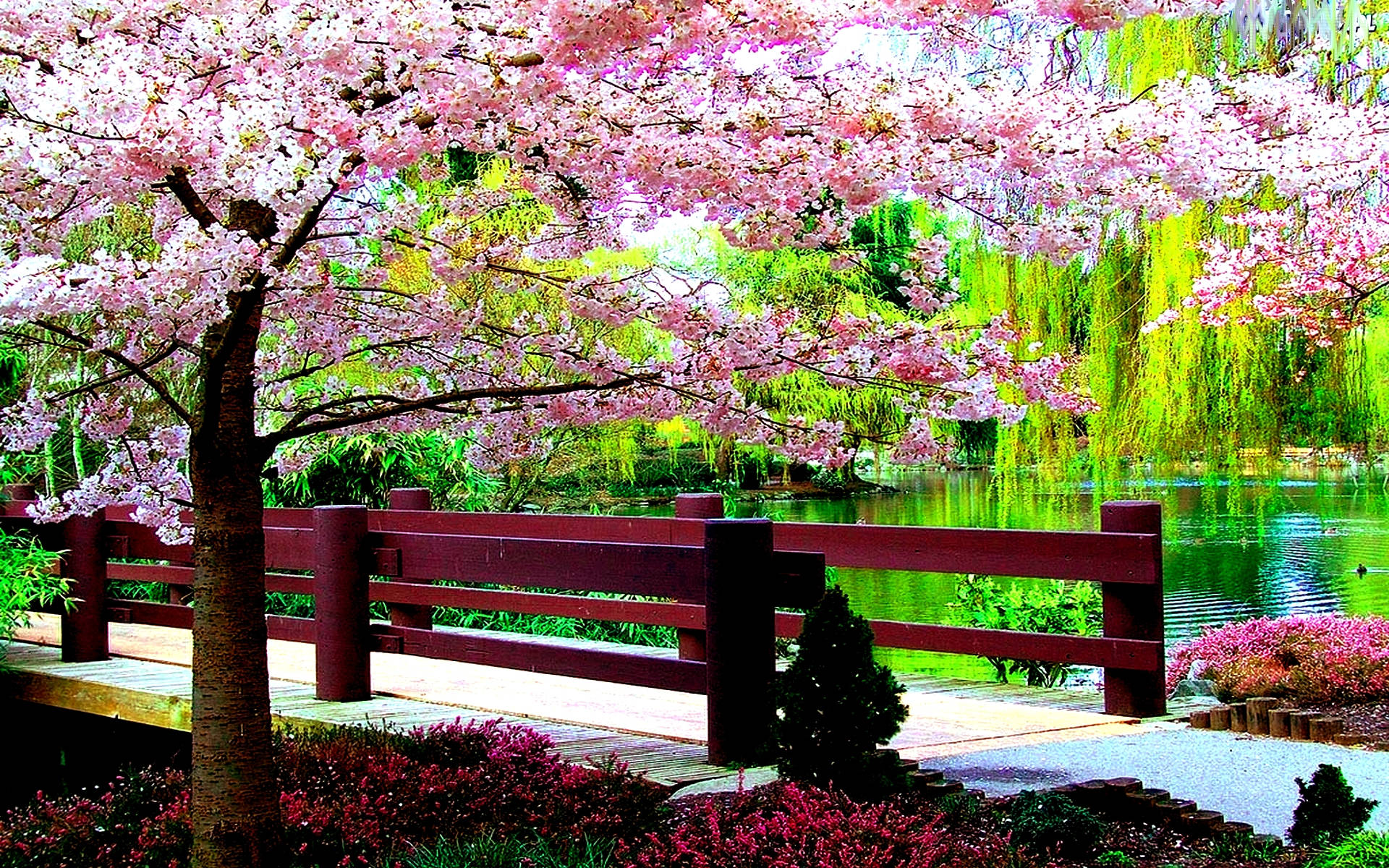 Enjoy The Beauty Of Spring With A New Computer Background