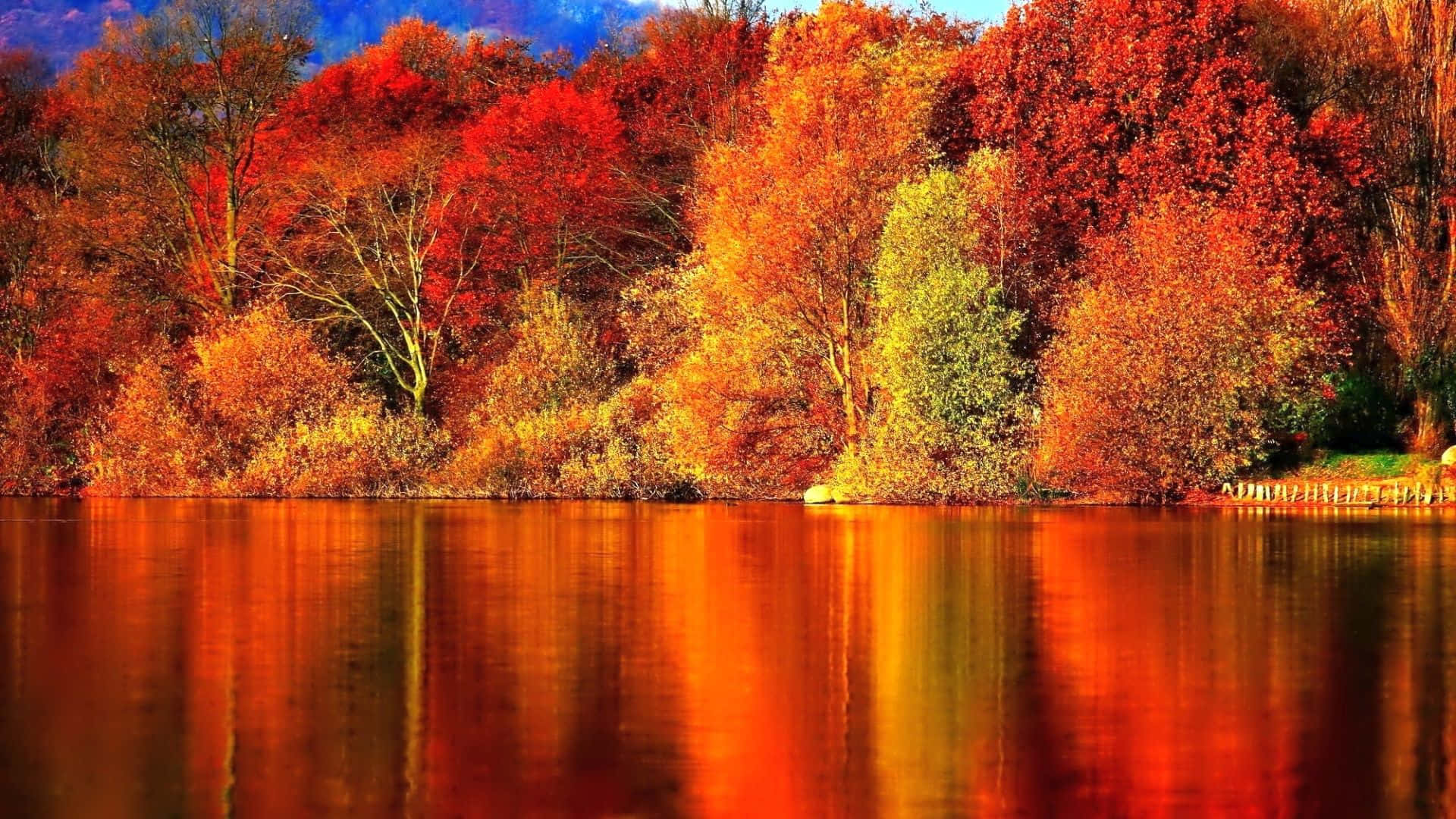 Enjoy The Beauty Of The Fall Season With Trees Turning Vibrant Shades Of Yellow And Orange. Background