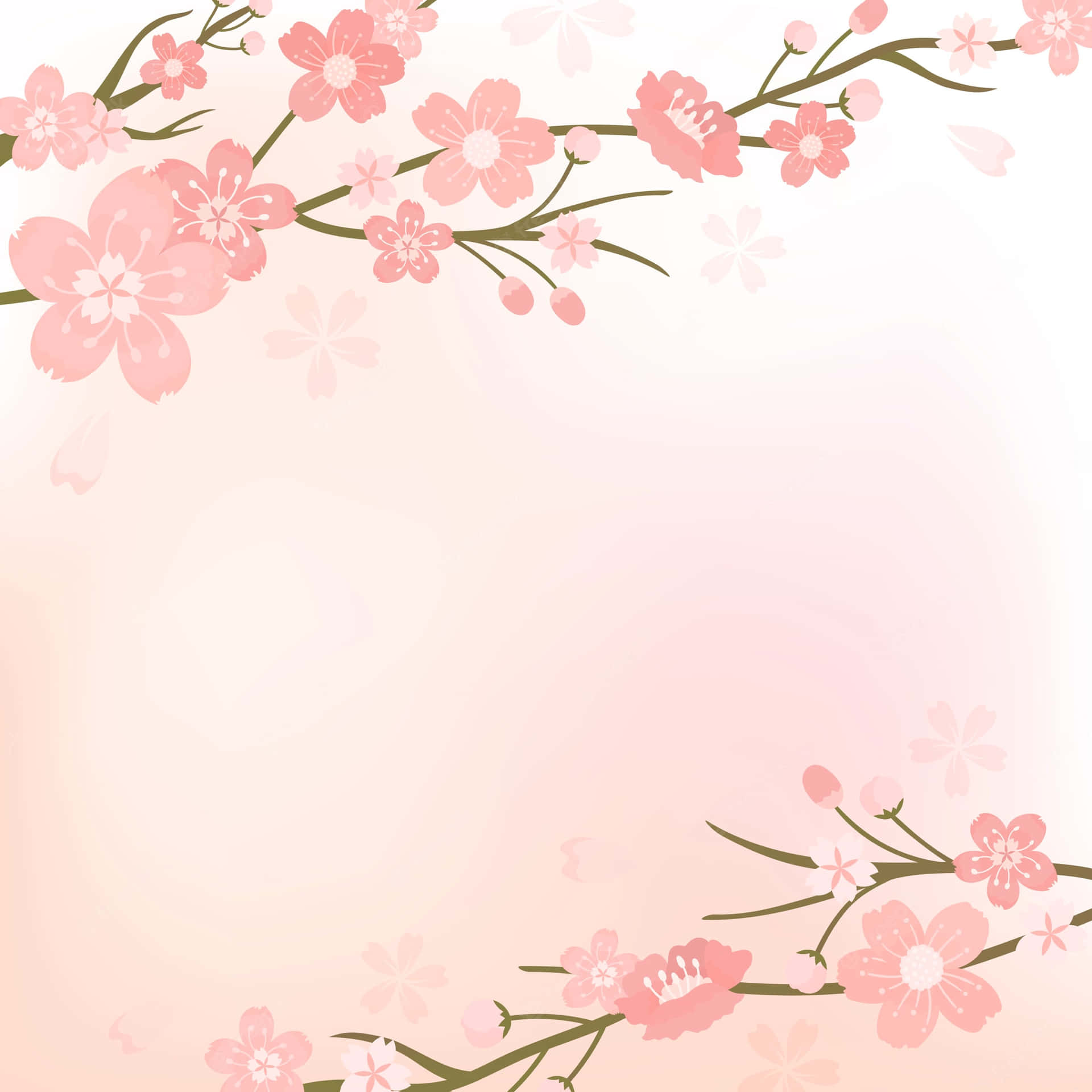 Enjoy The Beauty Of The Sakura Blossom! Background