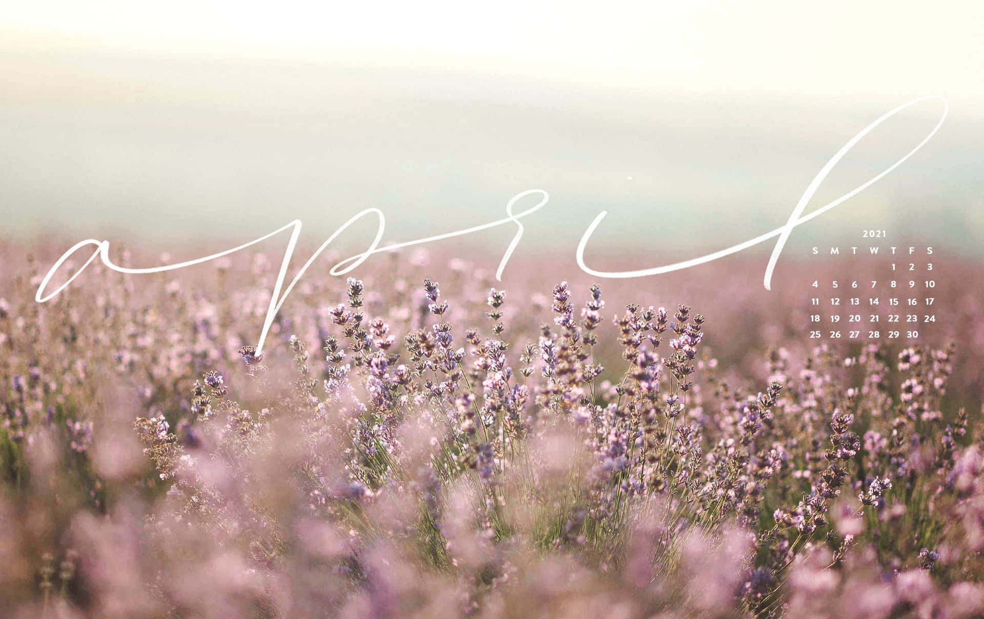 Enjoy The Beauty Of The Season With This Gorgeous Spring Aesthetic Desktop Wallpaper! Background