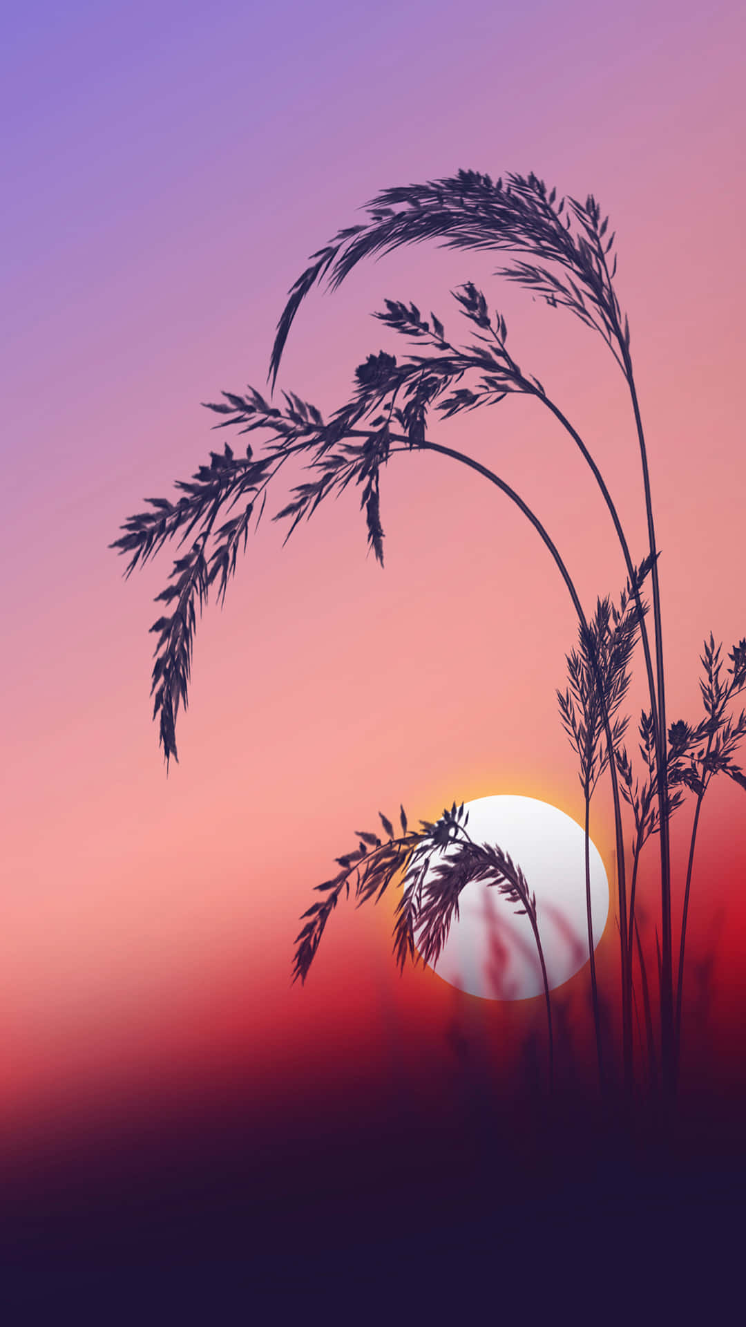 Enjoy The Beauty Of This Stunning Sunrise. Background