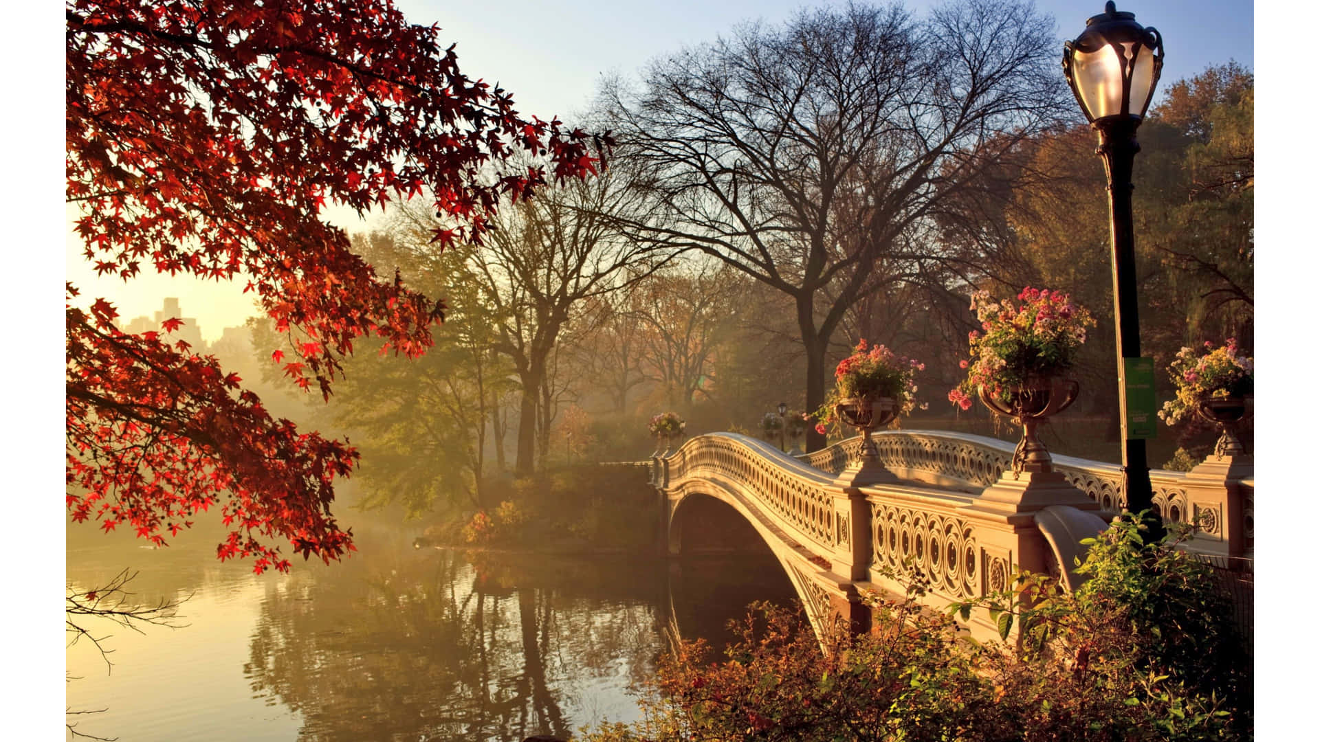 Enjoy The Beauty Of Vintage Autumn Background