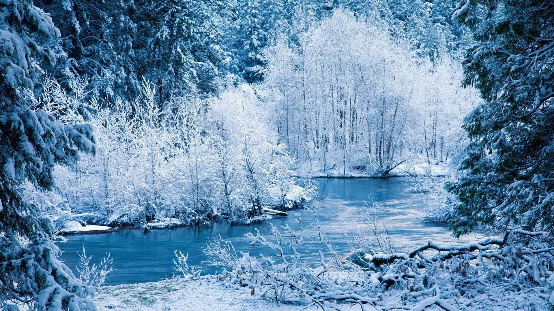 Enjoy The Beauty Of Winter In The Comfort Of Your Home Background