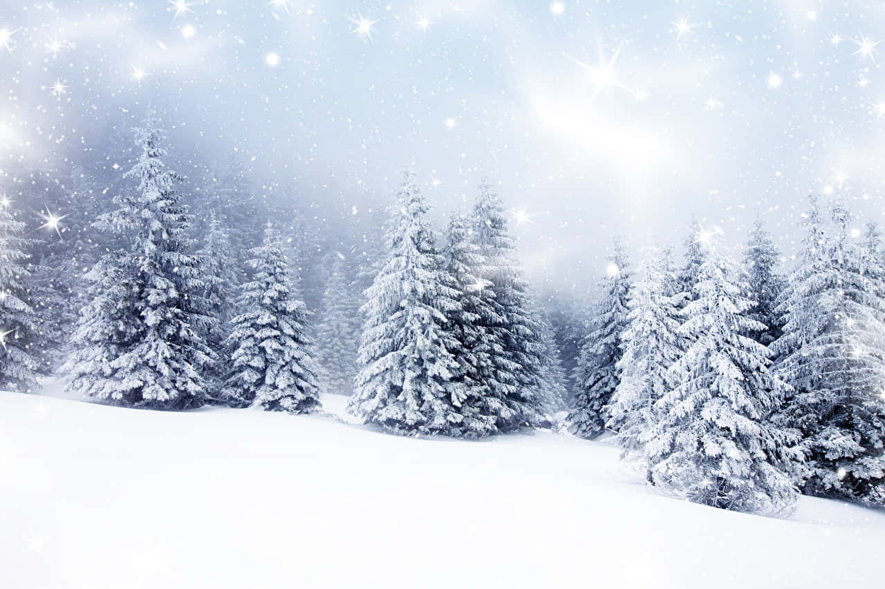 Enjoy The Beauty Of Winter Snow On Your Desktop Background