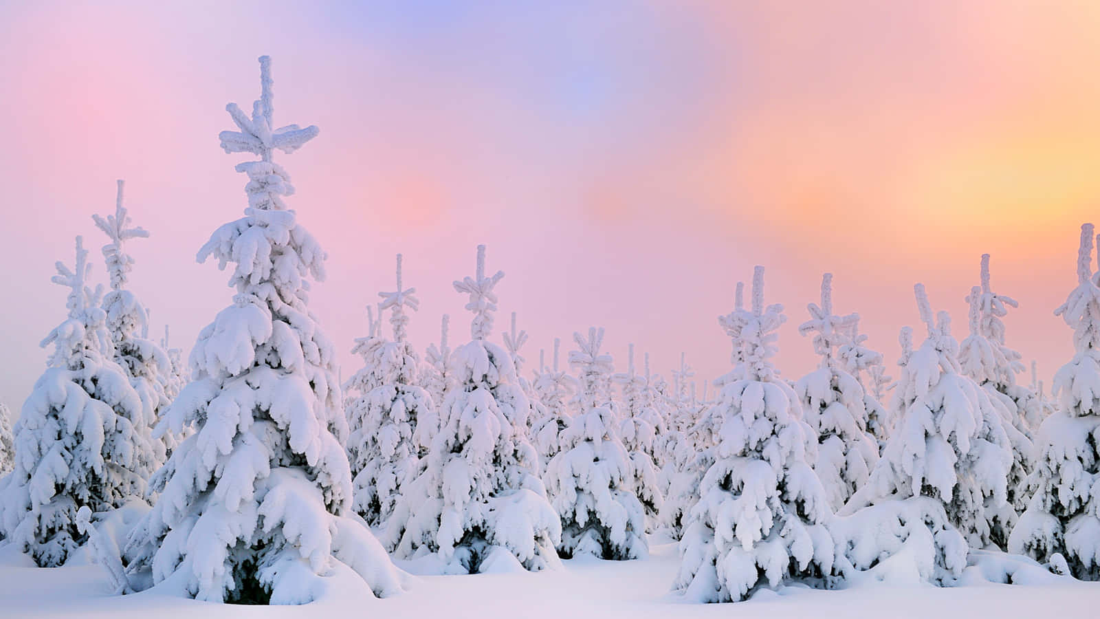Enjoy The Beauty Of Winter Snow With This Stunning Desktop! Background