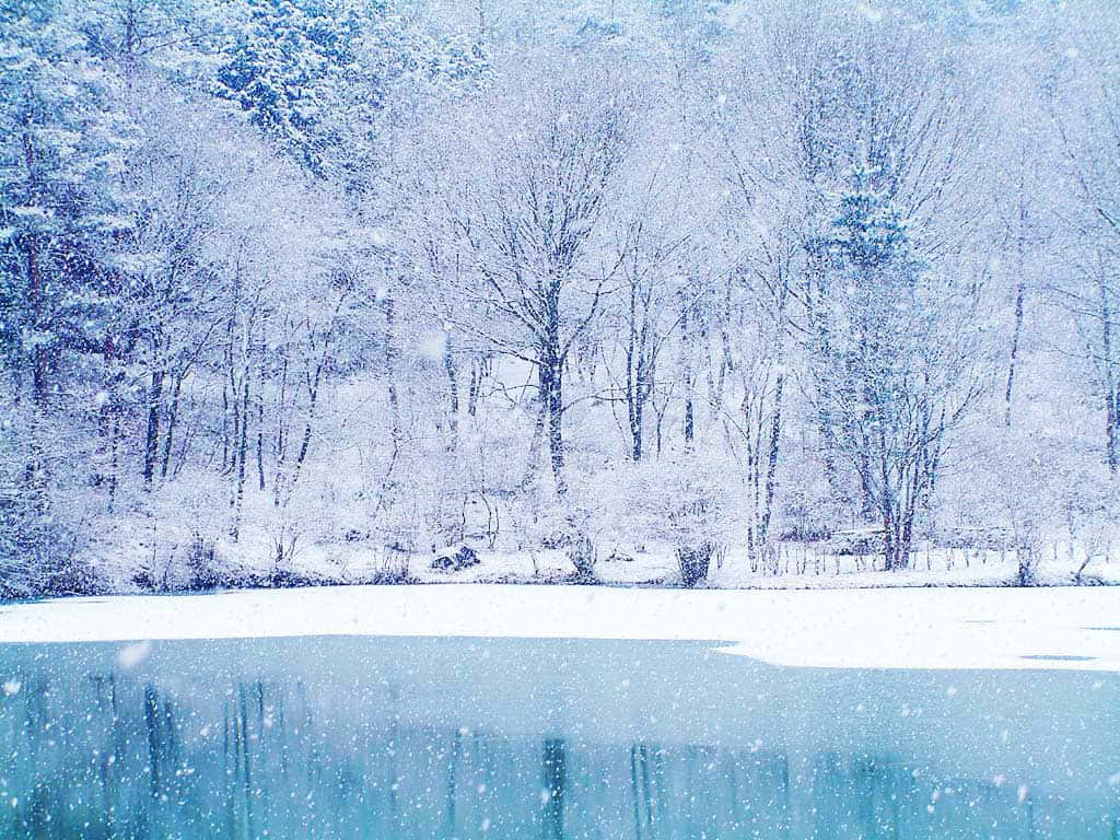 Enjoy The Beauty Of Winter With This Snow-covered Desktop Background