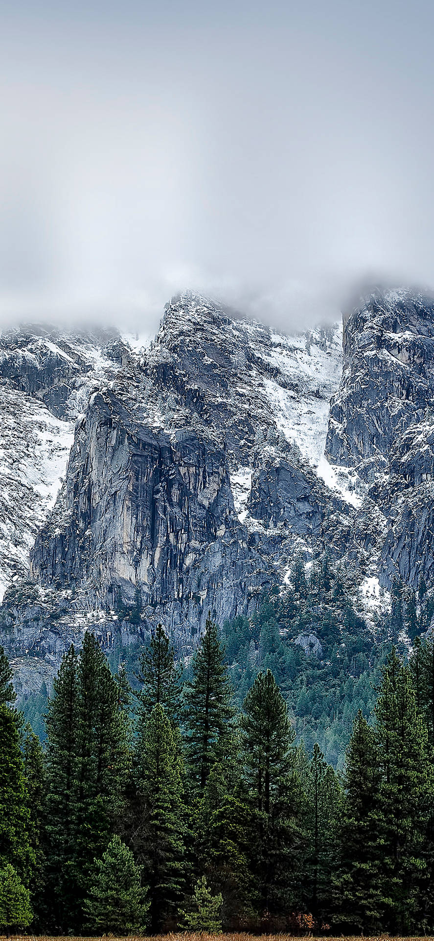 Enjoy The Beauty Of Yosemite On Your Iphone Background