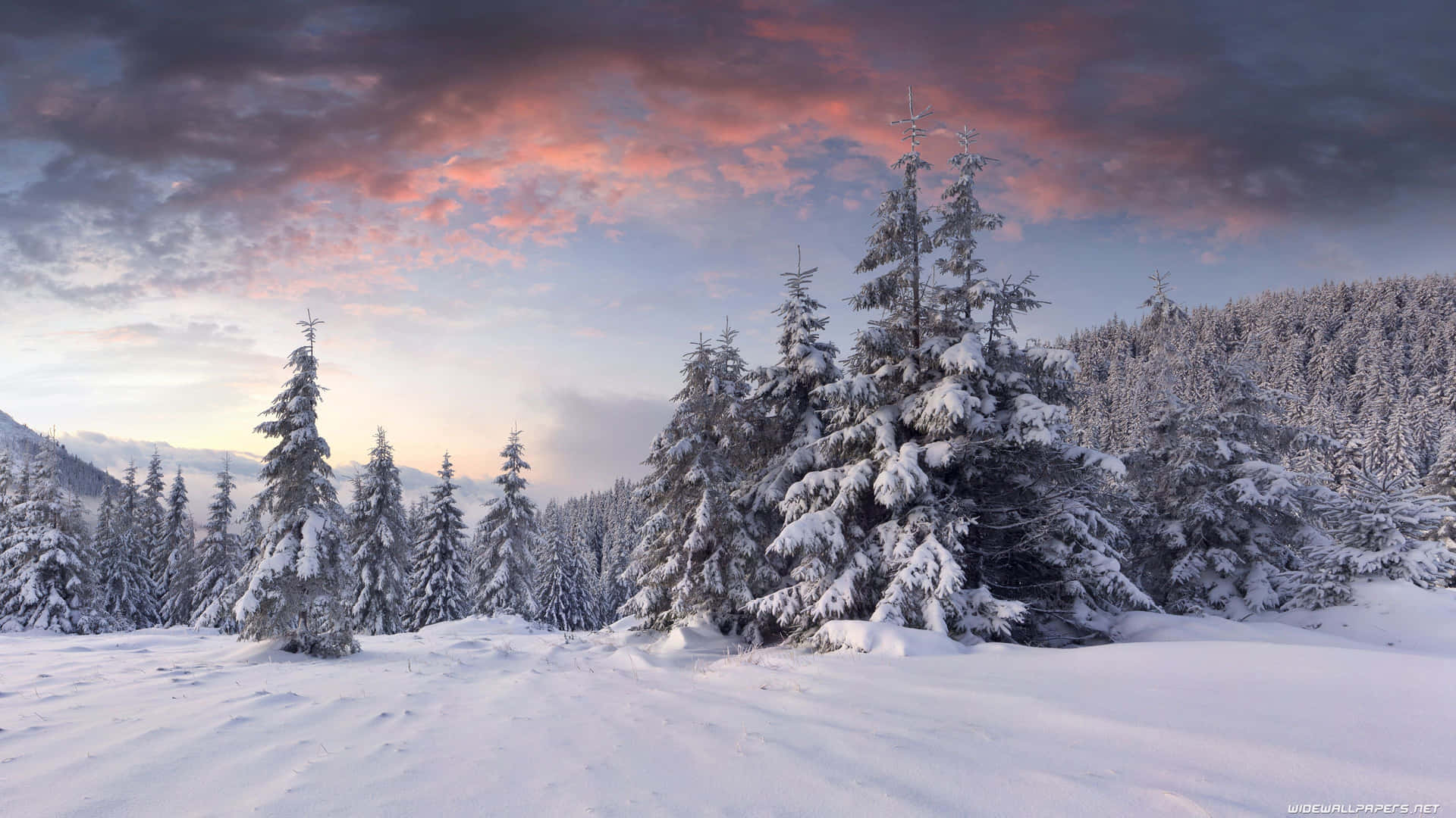 Enjoy The Blissful Winter Wonderland Background