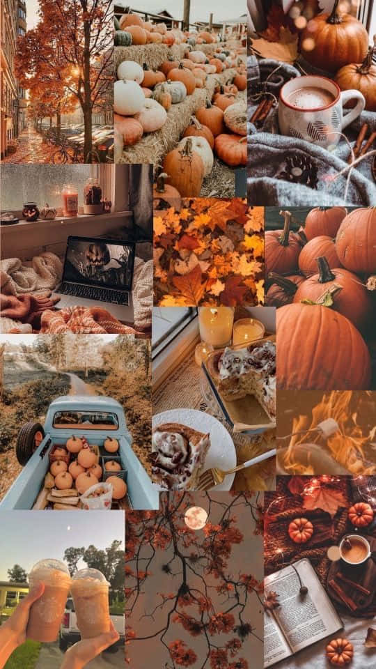 Enjoy The Bonfire On A Crisp Autumn Night Background