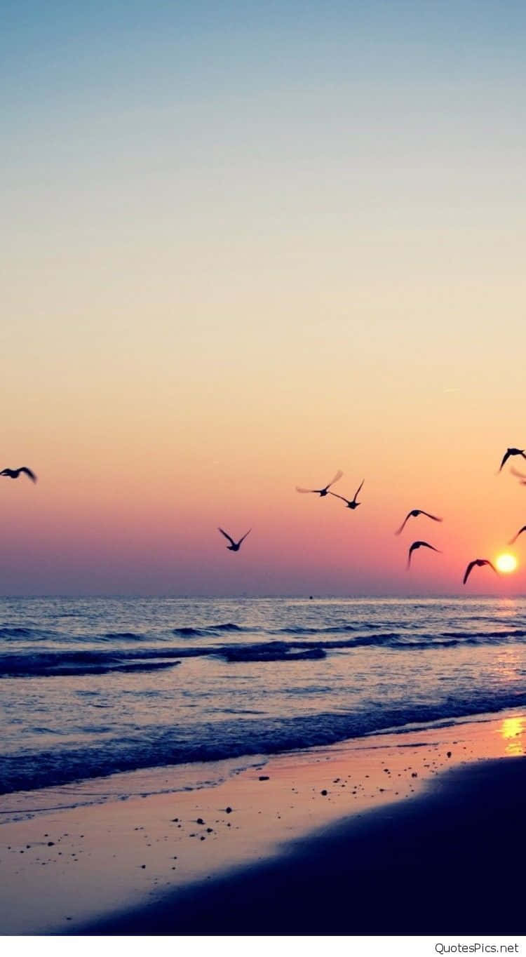 Enjoy The Breathtaking Beauty Of A Sunset Beach On Your Iphone Background