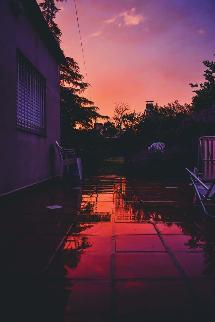 Enjoy The Breathtaking Beauty Of A Sunset Through Your Iphone Background