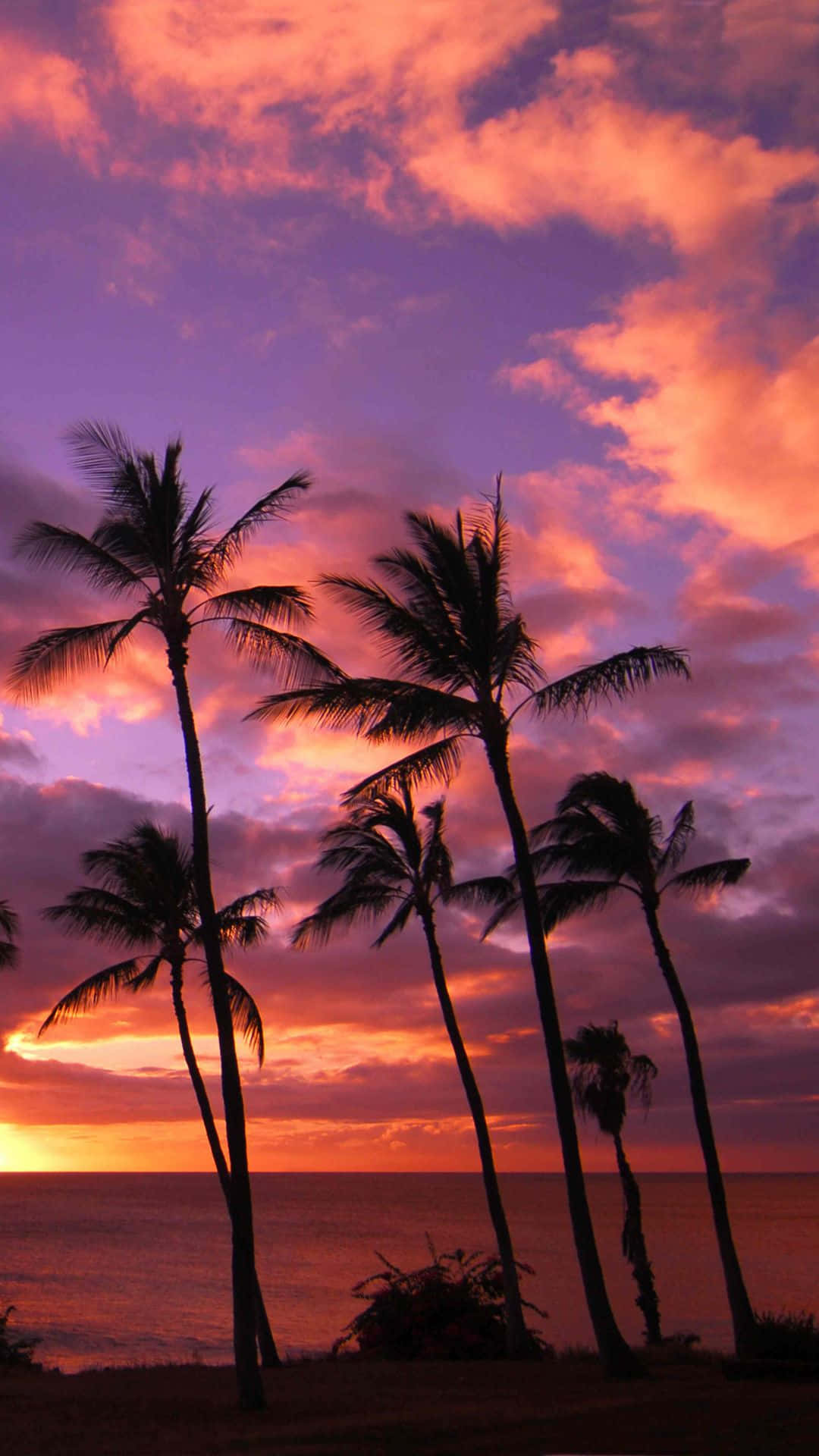 Enjoy The Breathtaking Beauty Of Hawaii From The Comfort Of Your Iphone! Background