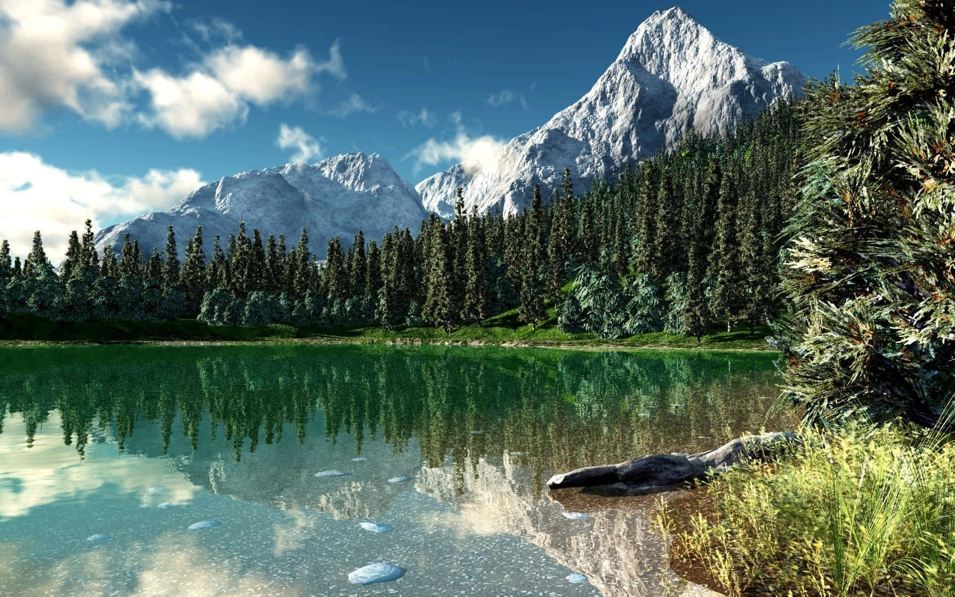 Enjoy The Breathtaking View Of Colorado’s Rocky Mountains