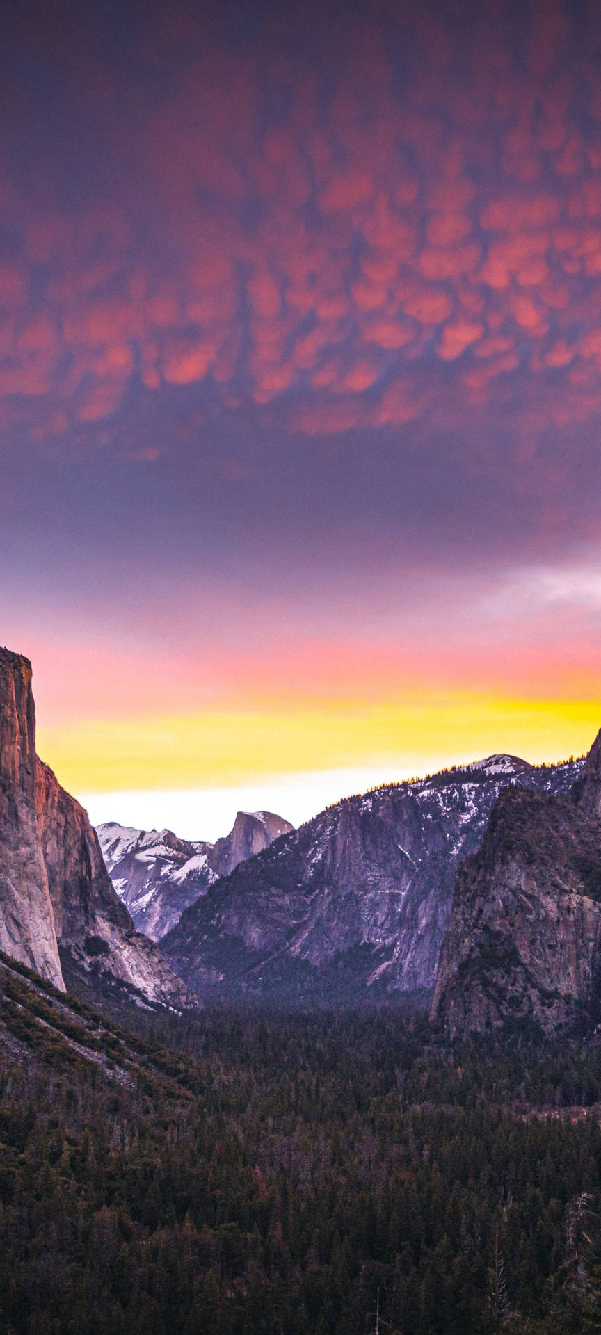 Enjoy The Breathtaking Views At Yosemite National Park On Your Iphone Background