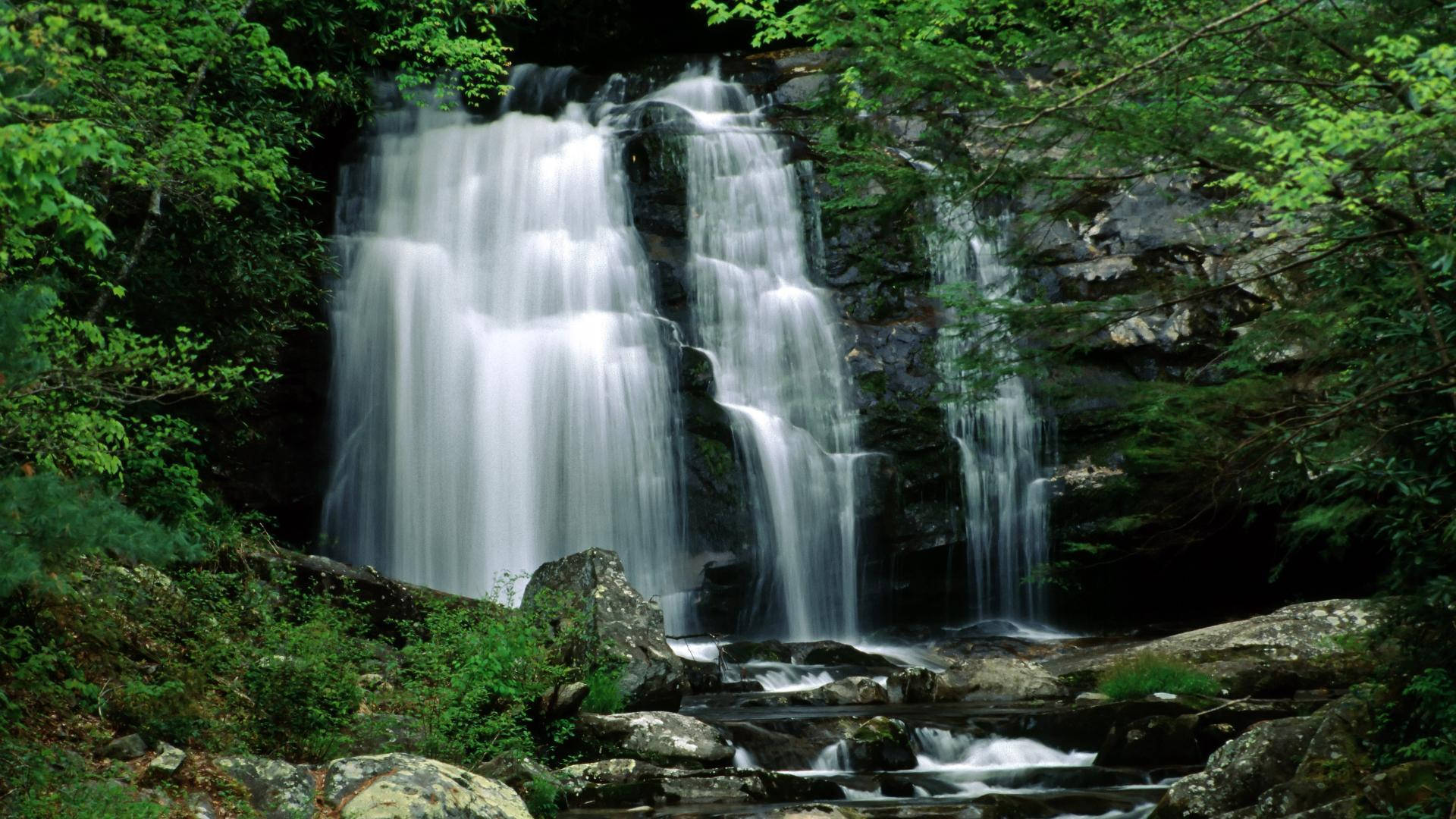 Enjoy The Breathtaking Views Of The Great Smoky Mountains Background