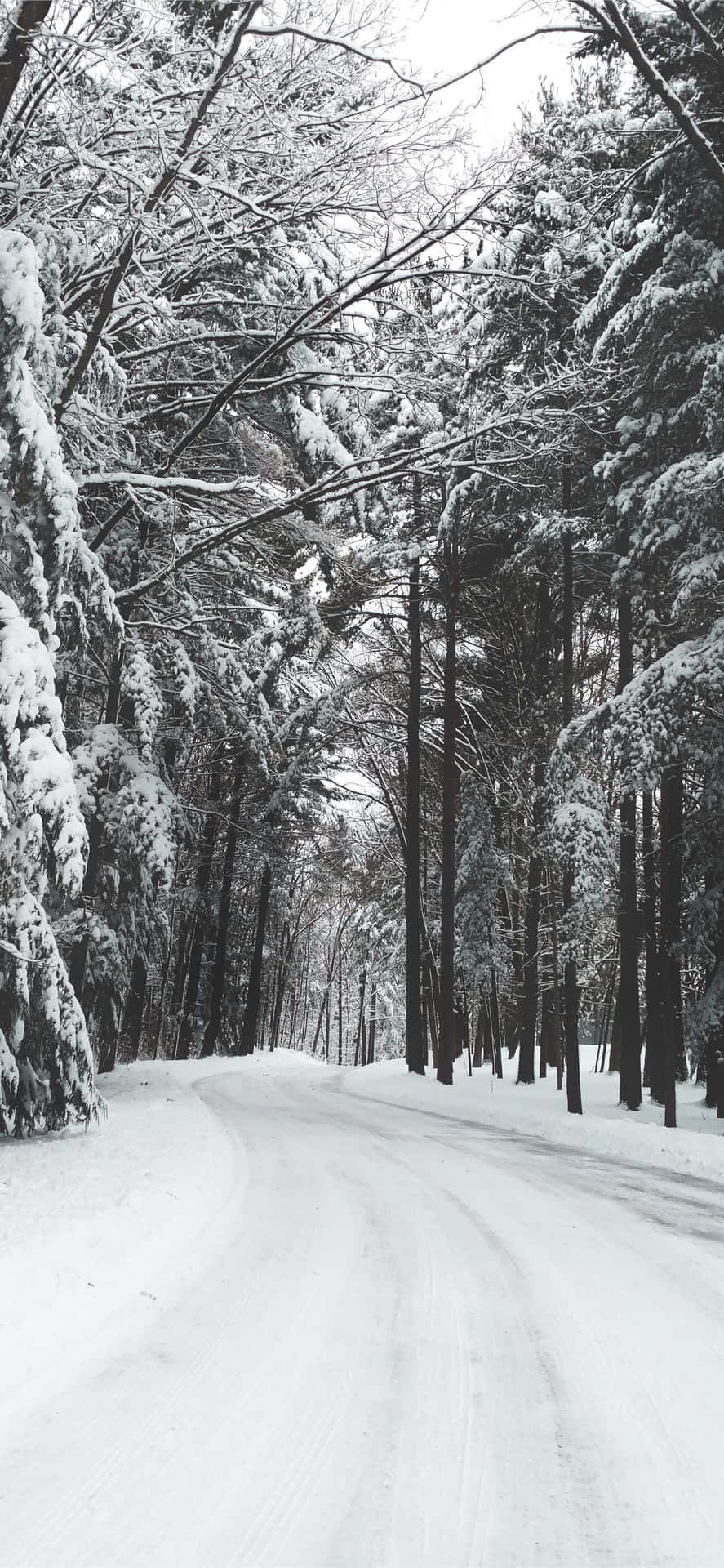 Enjoy The Breathtaking Winter Snowfall With Iphone Background