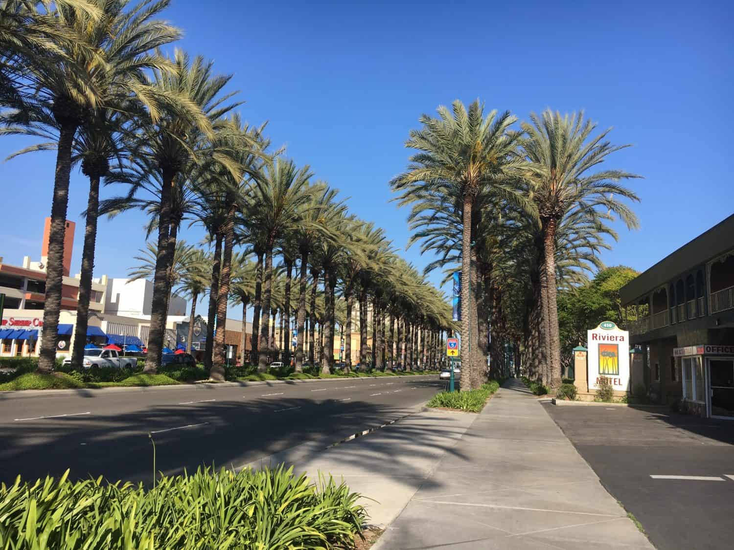 Enjoy The Bright Lights And Colorful Landscape Of Katella Avenue In Anaheim