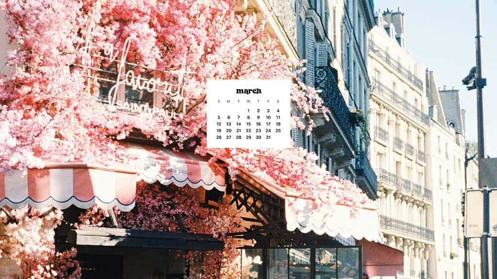 Enjoy The Burst Of Spring With March Desktop Background
