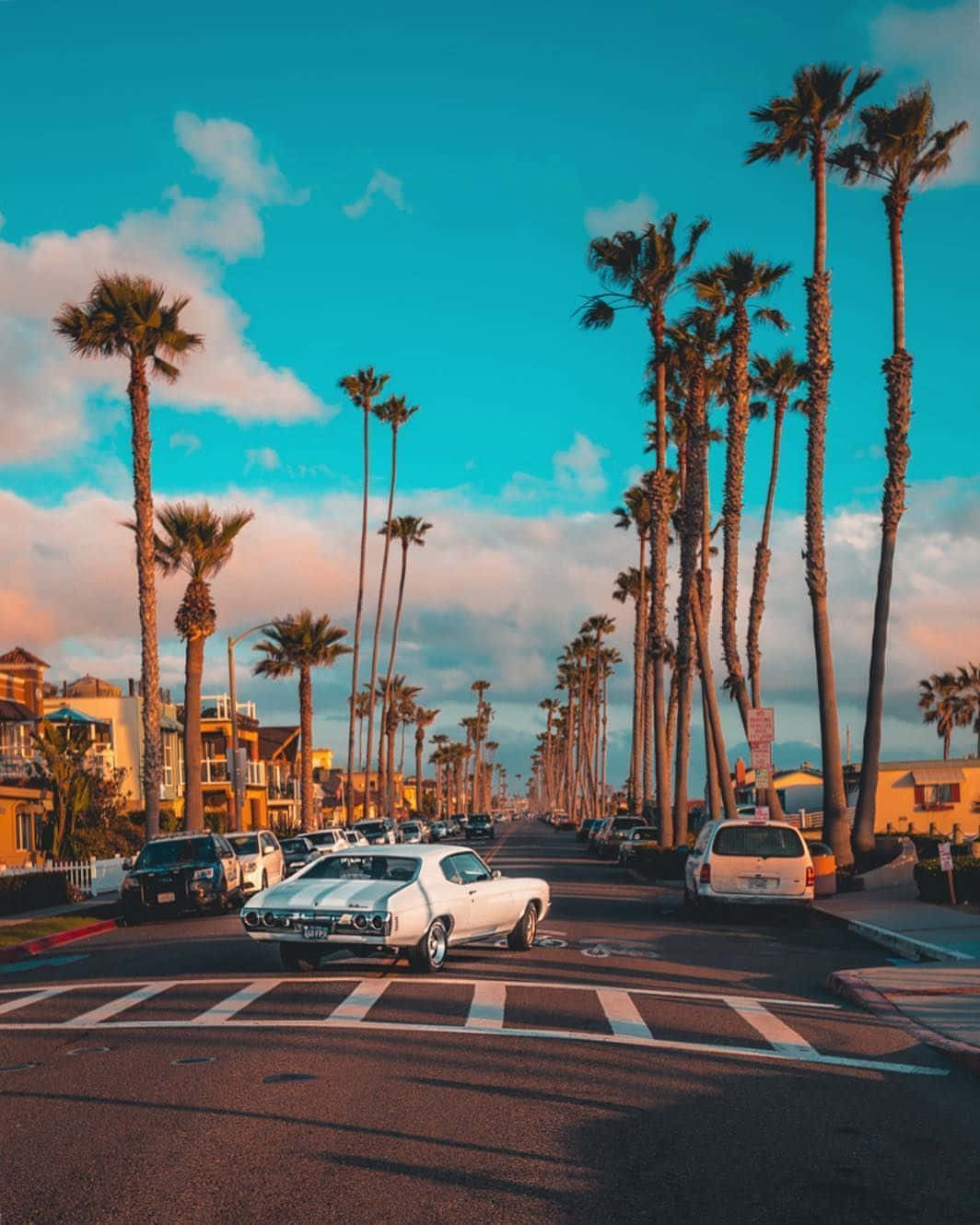 Enjoy The California Sun This Summer! Background