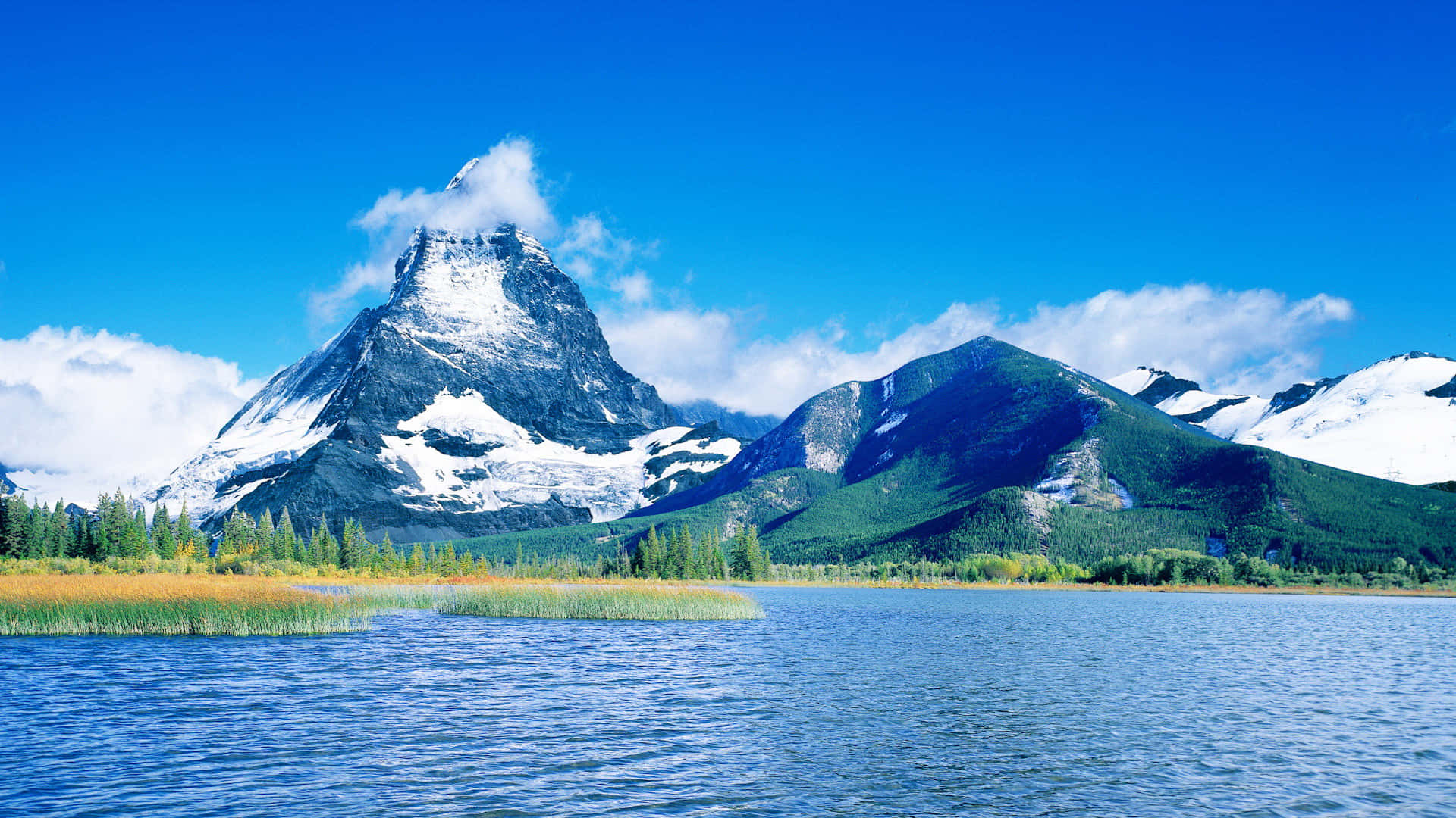 Enjoy The Calming View Of A Crystal Blue Lake Surrounded By Lush Green Trees. Background