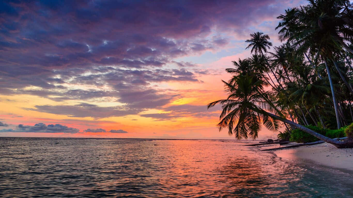 Enjoy The Calming View Of A Tranquil Hawaiian Beach Background