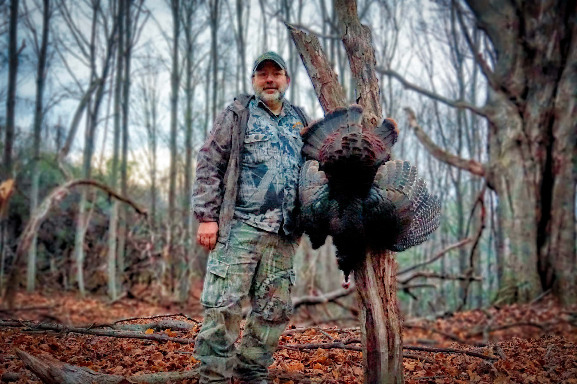 Enjoy The Challenge Of Turkey Hunting. Background