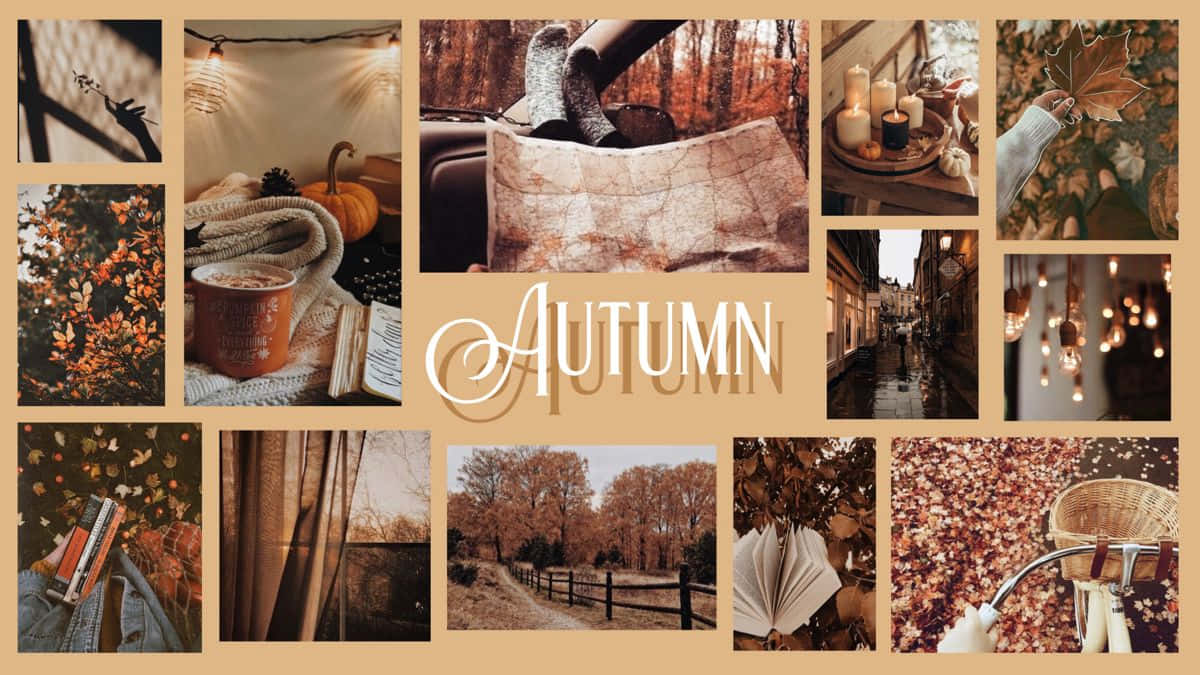 Enjoy The Changing Colours Of Fall With This Beautiful Desktop Collage Background