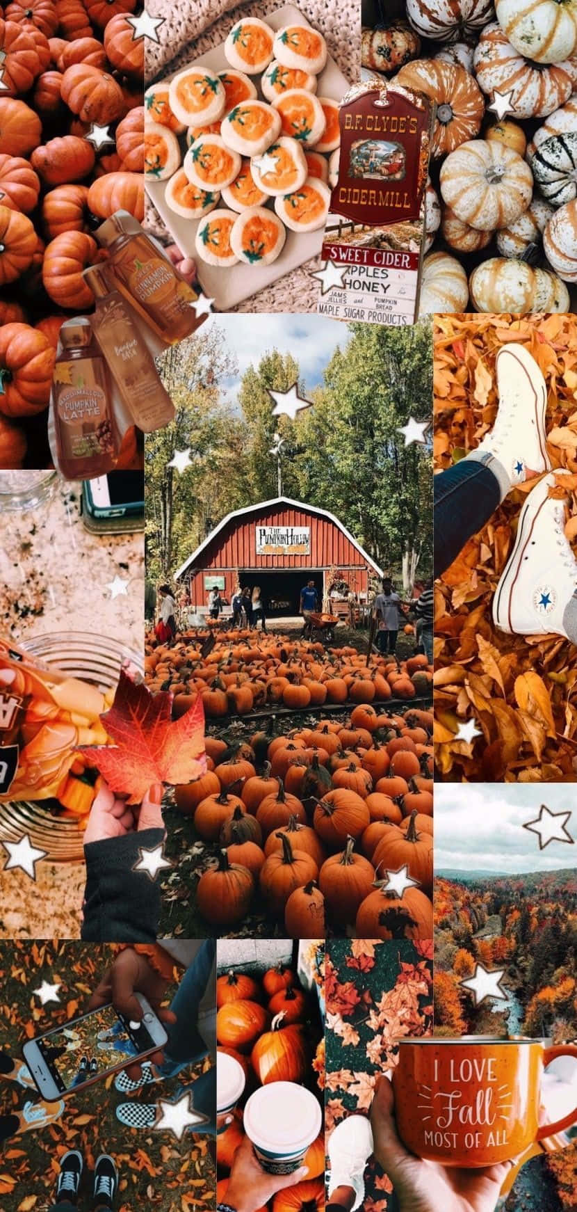 Enjoy The Changing Of The Leaves And The Beautiful Colors Of Fall In This Desktop Wallpaper Collage. Background