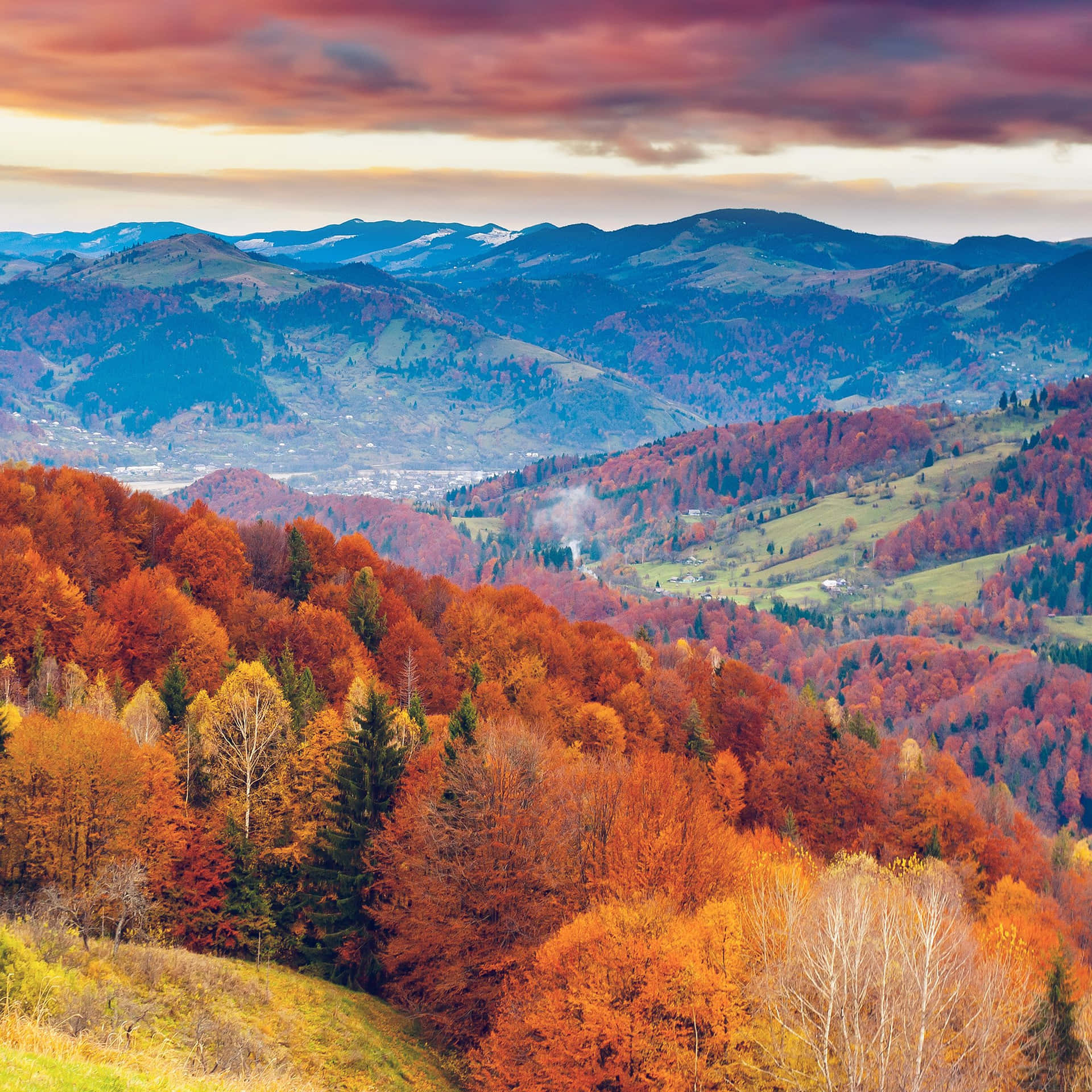 Enjoy The Changing Of The Seasons With The New Fall Ipad Background