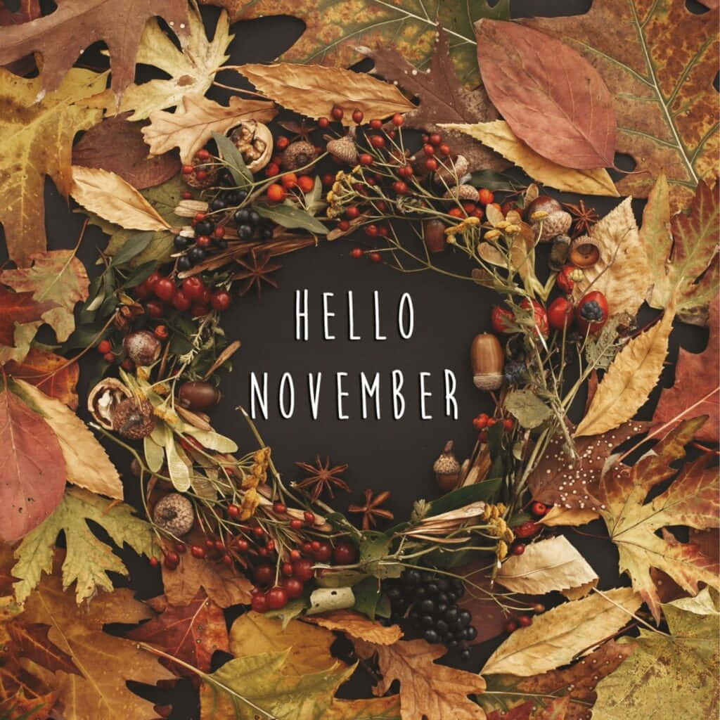 Enjoy The Changing Season In The Cozy Embrace Of Aesthetic November Background