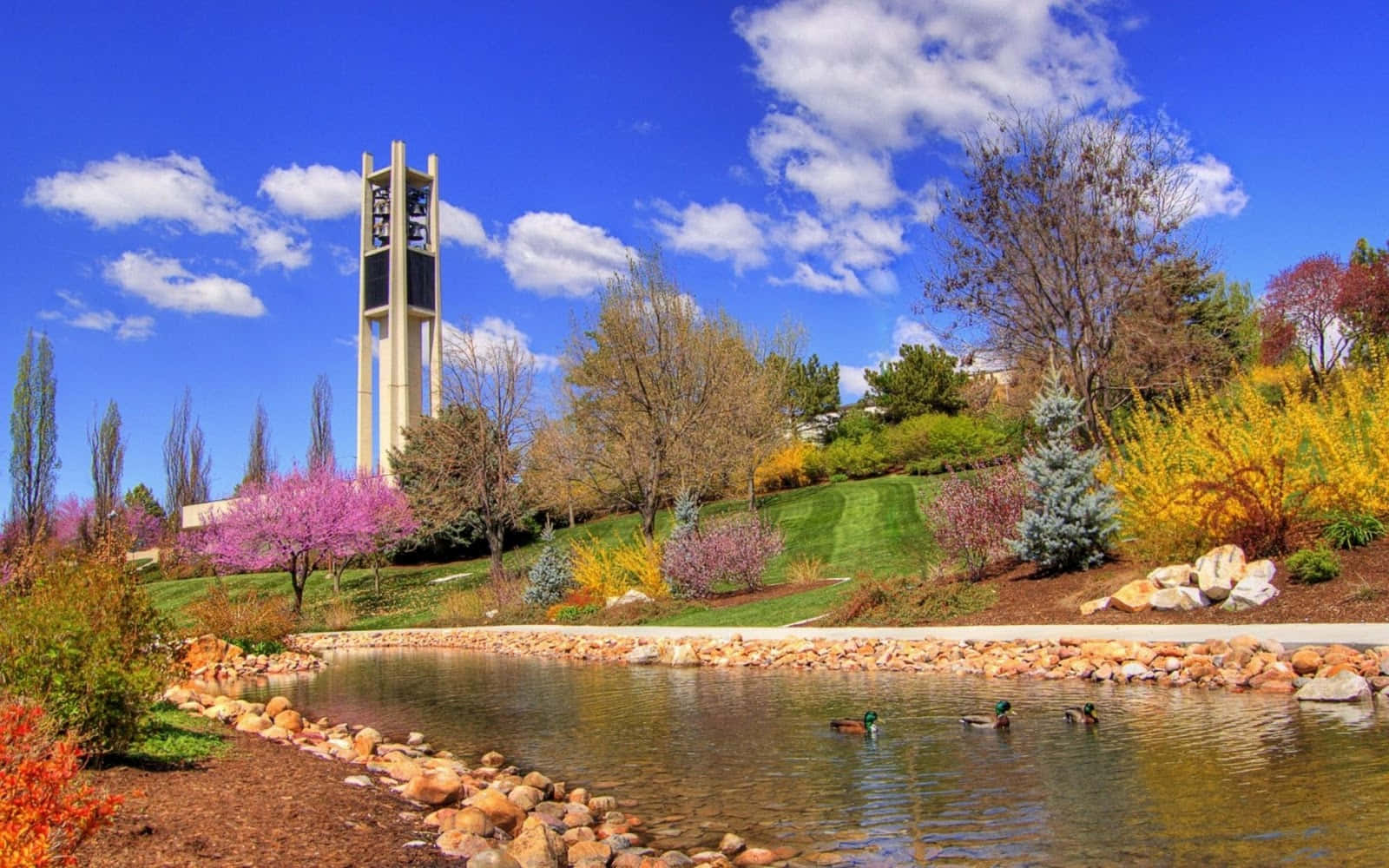 Enjoy The Colorful Blooms Of Spring Background