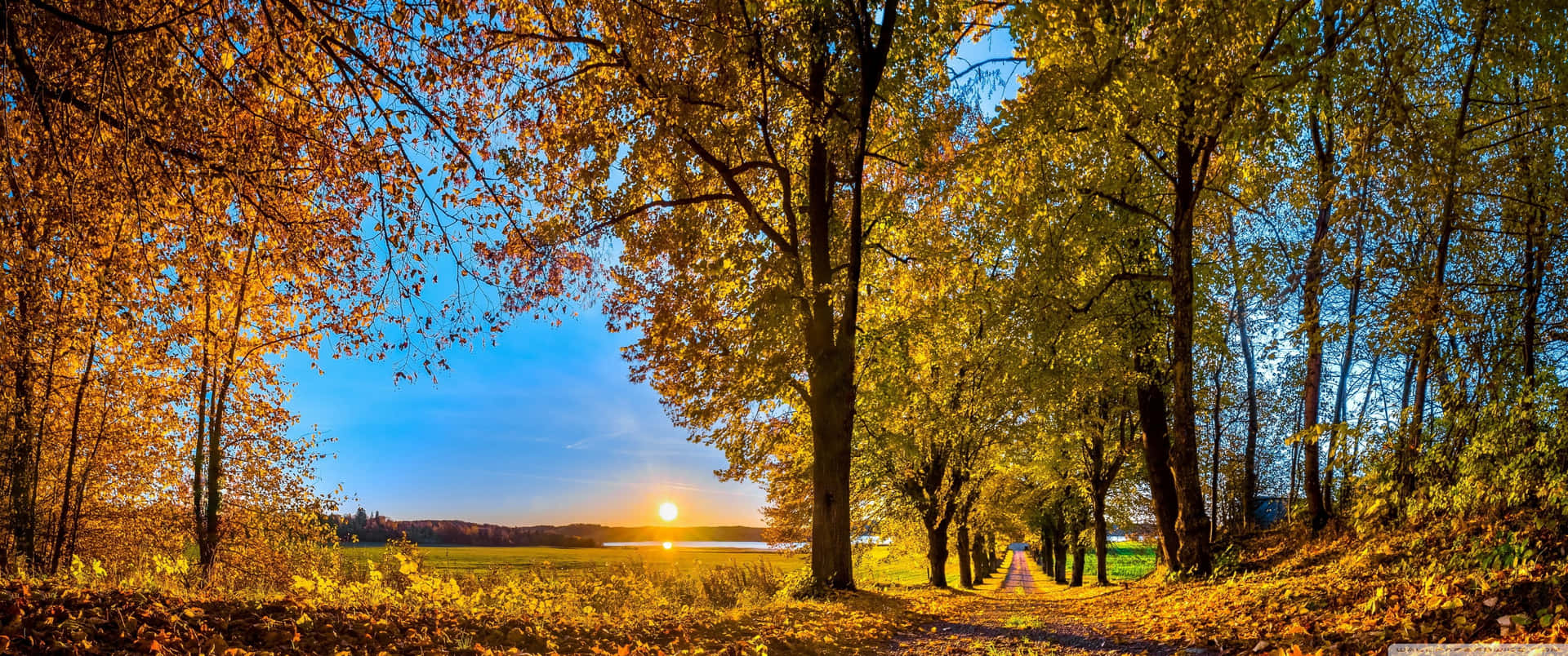 Enjoy The Colorful Landscape Of Fall Background