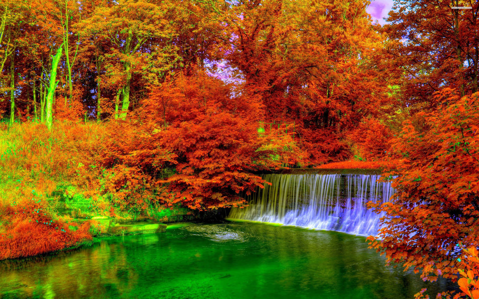 Enjoy The Colorful Splendor Of Fall Background