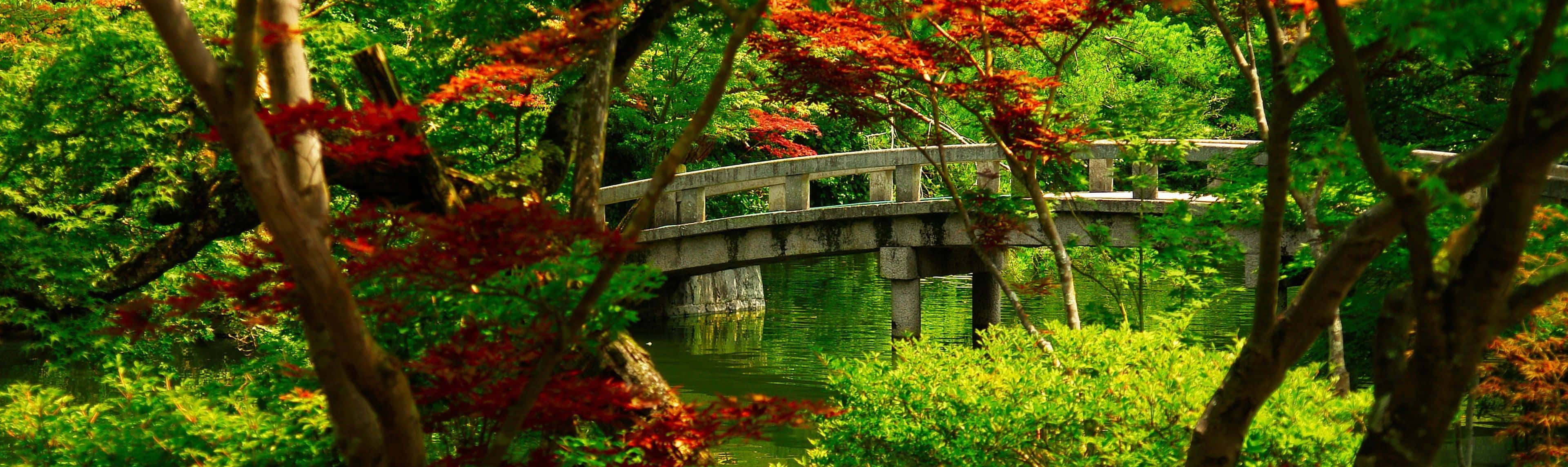 Enjoy The Colors And Beauty Of Spring On Your Dual Monitor Background