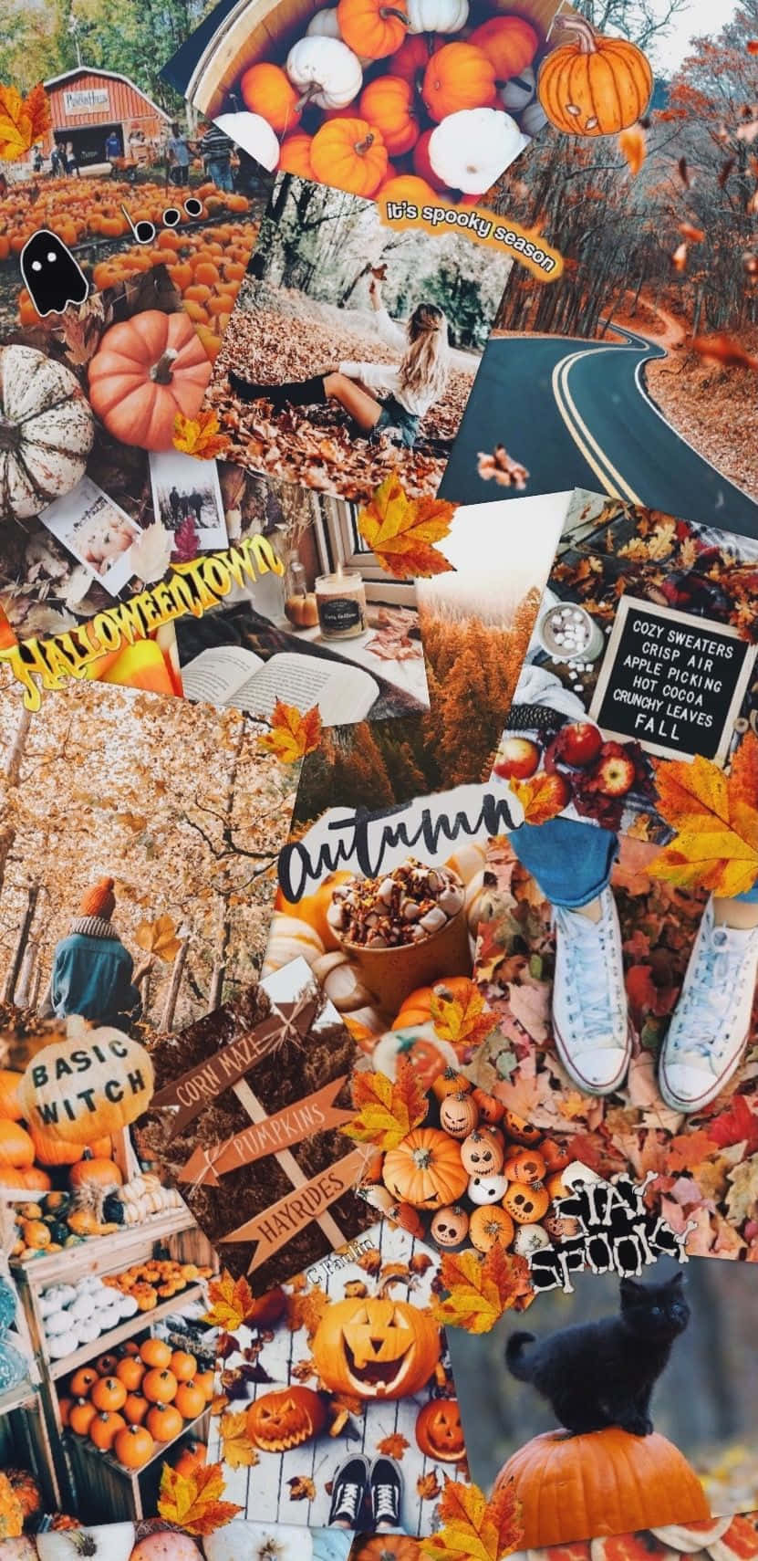 Enjoy The Colors Of Autumn With A Beautiful Autumn Collage Background
