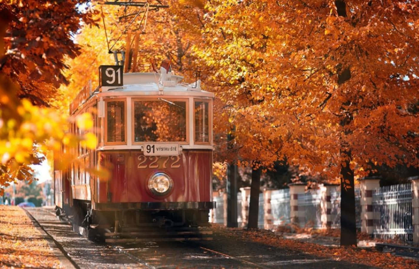 Enjoy The Colors Of Autumn